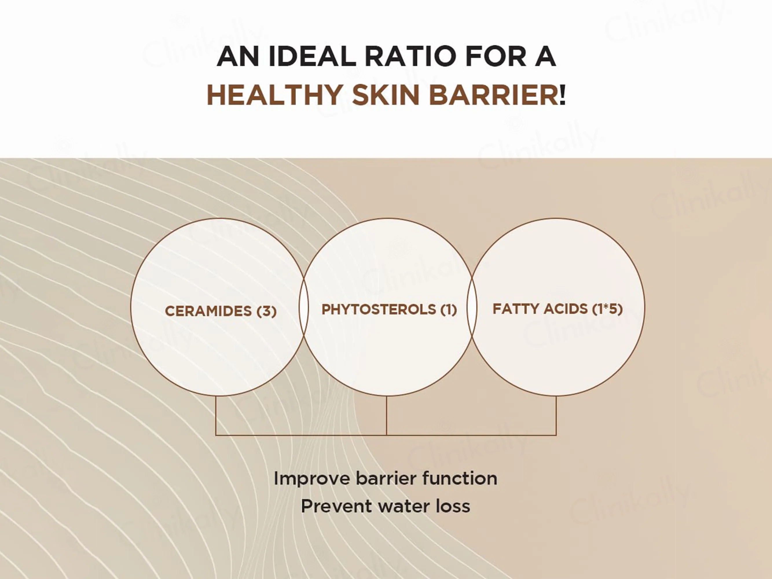 SKIN1004 Madagascar Centella Probio-Cica Intensive Ampoule - Image 4