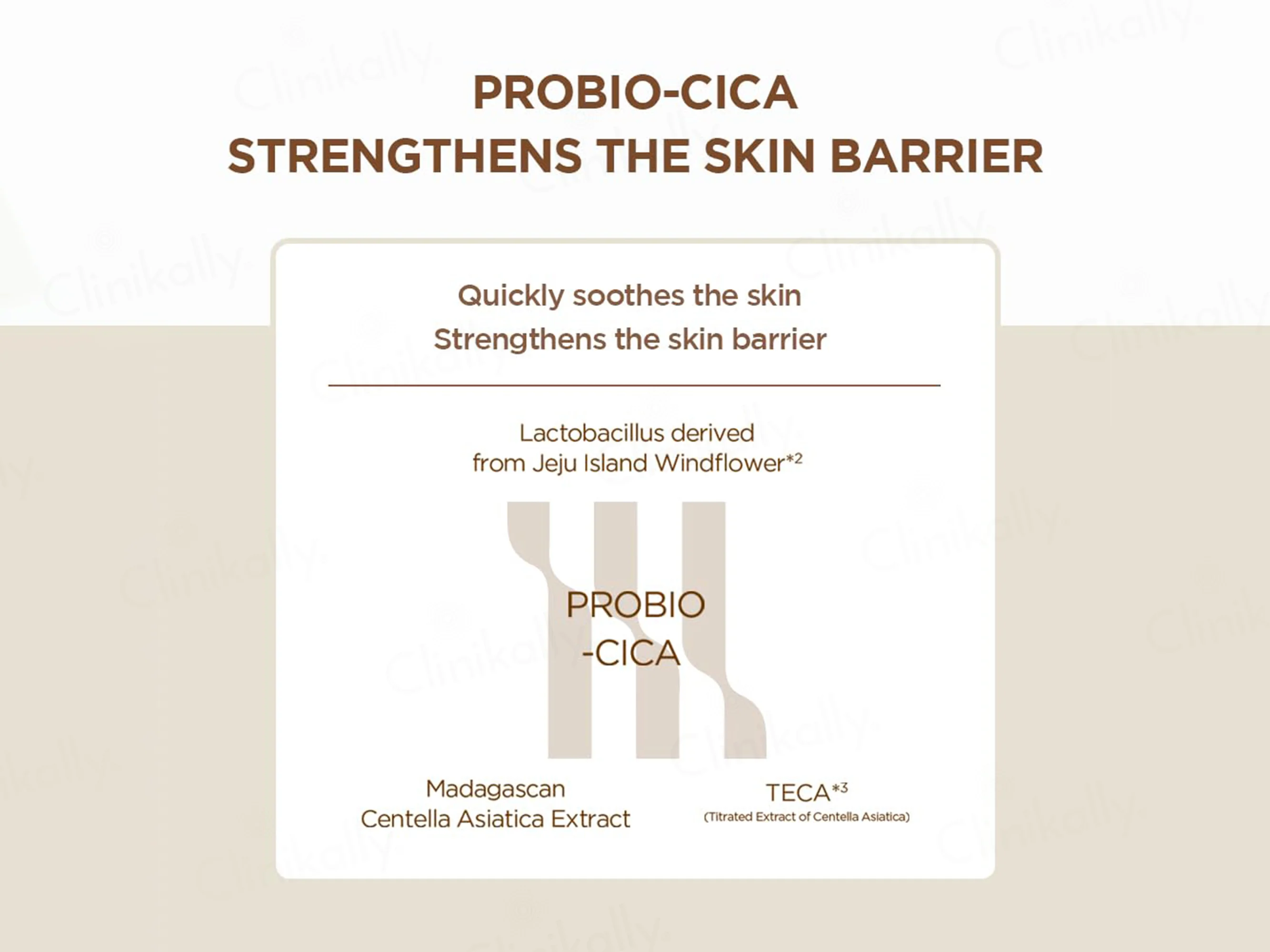 SKIN1004 Madagascar Centella Probio-Cica Intensive Ampoule - Image 5