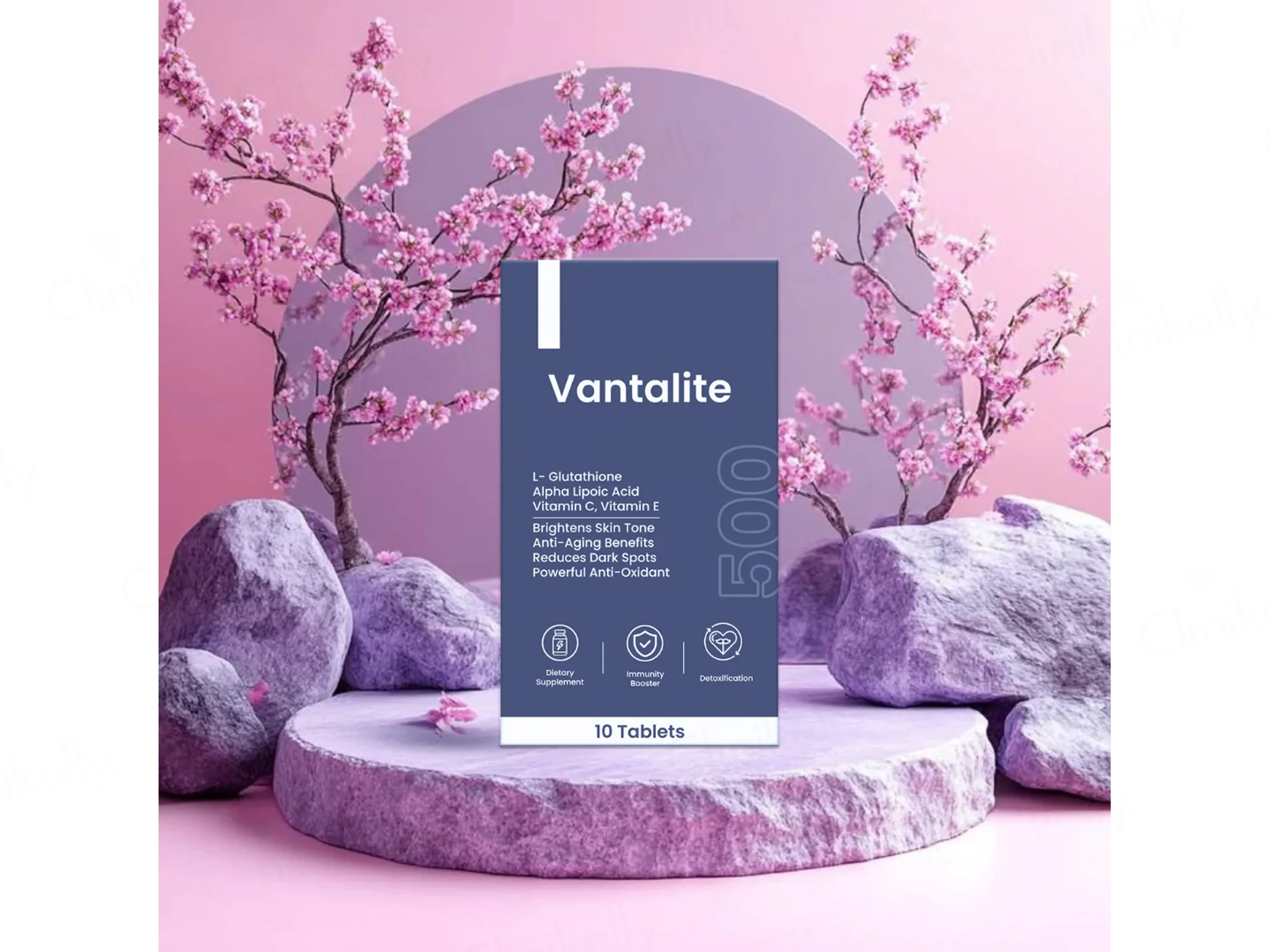 Skinaa Vantalite-500 Skin Supplement Tablet - Image 2