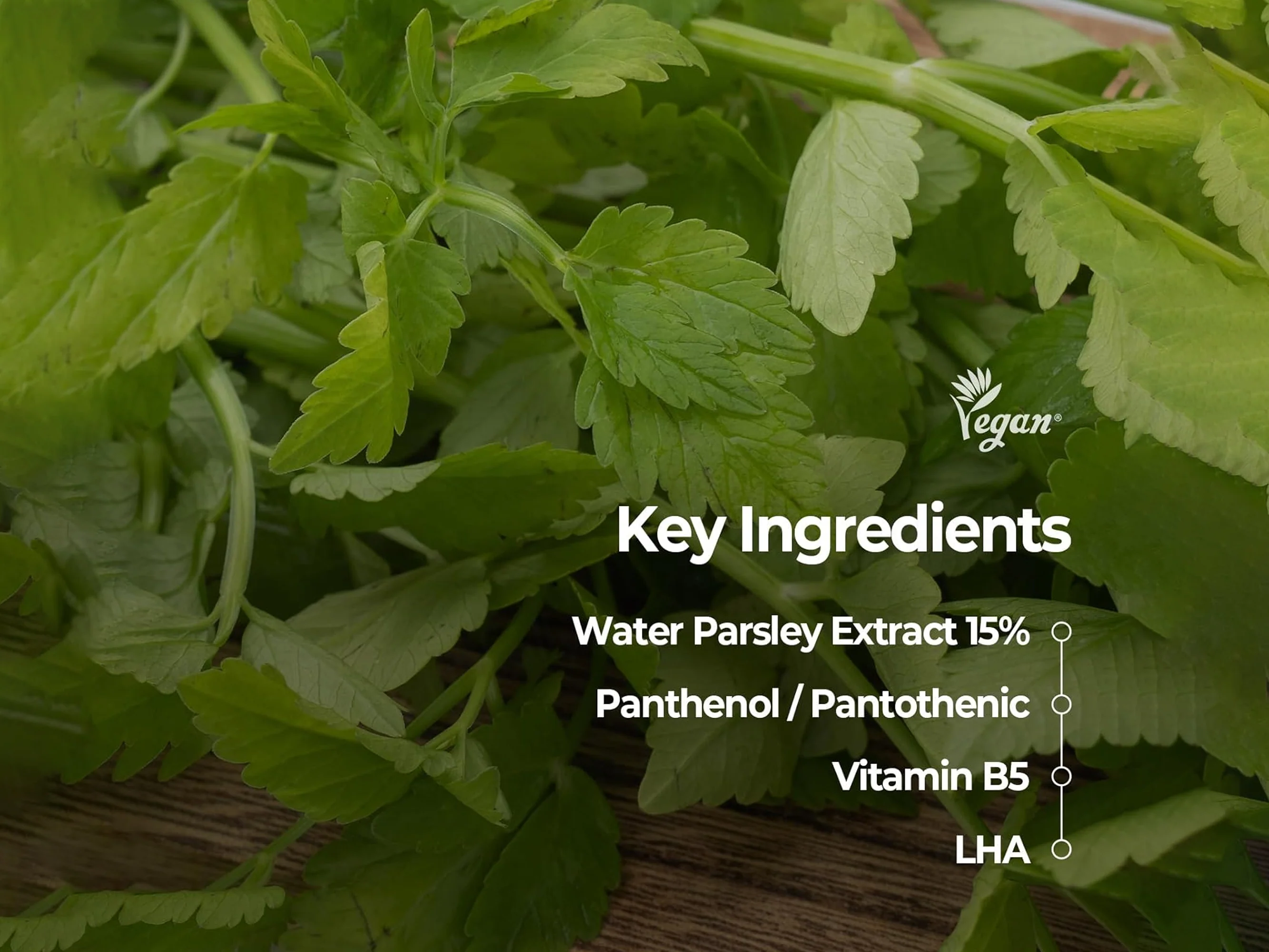 SKINFOOD Pantothenic Water Parsley Clear Pad - Image 3