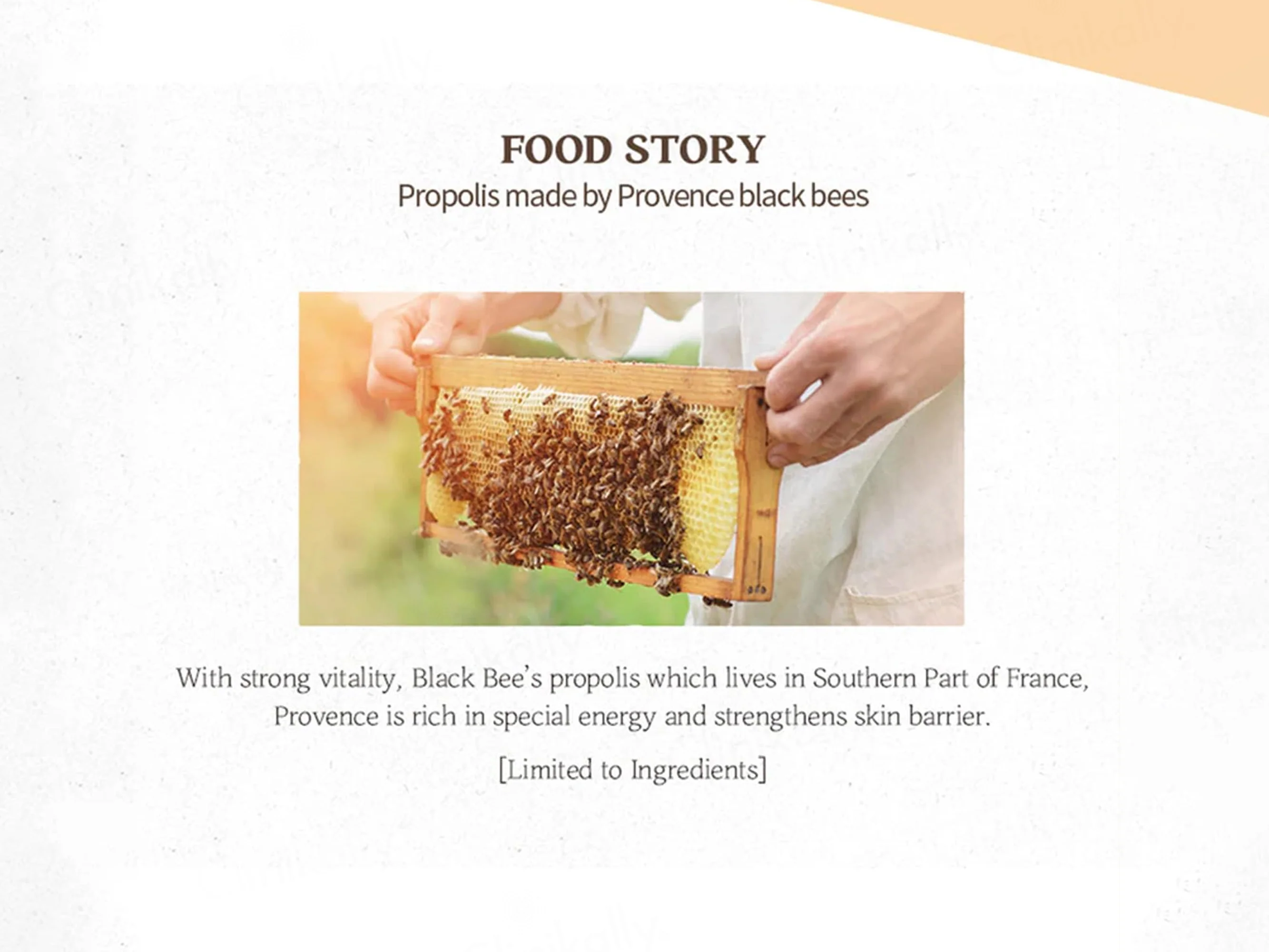 SKINFOOD Royal Honey Propolis Enrich Emulsion - Image 3
