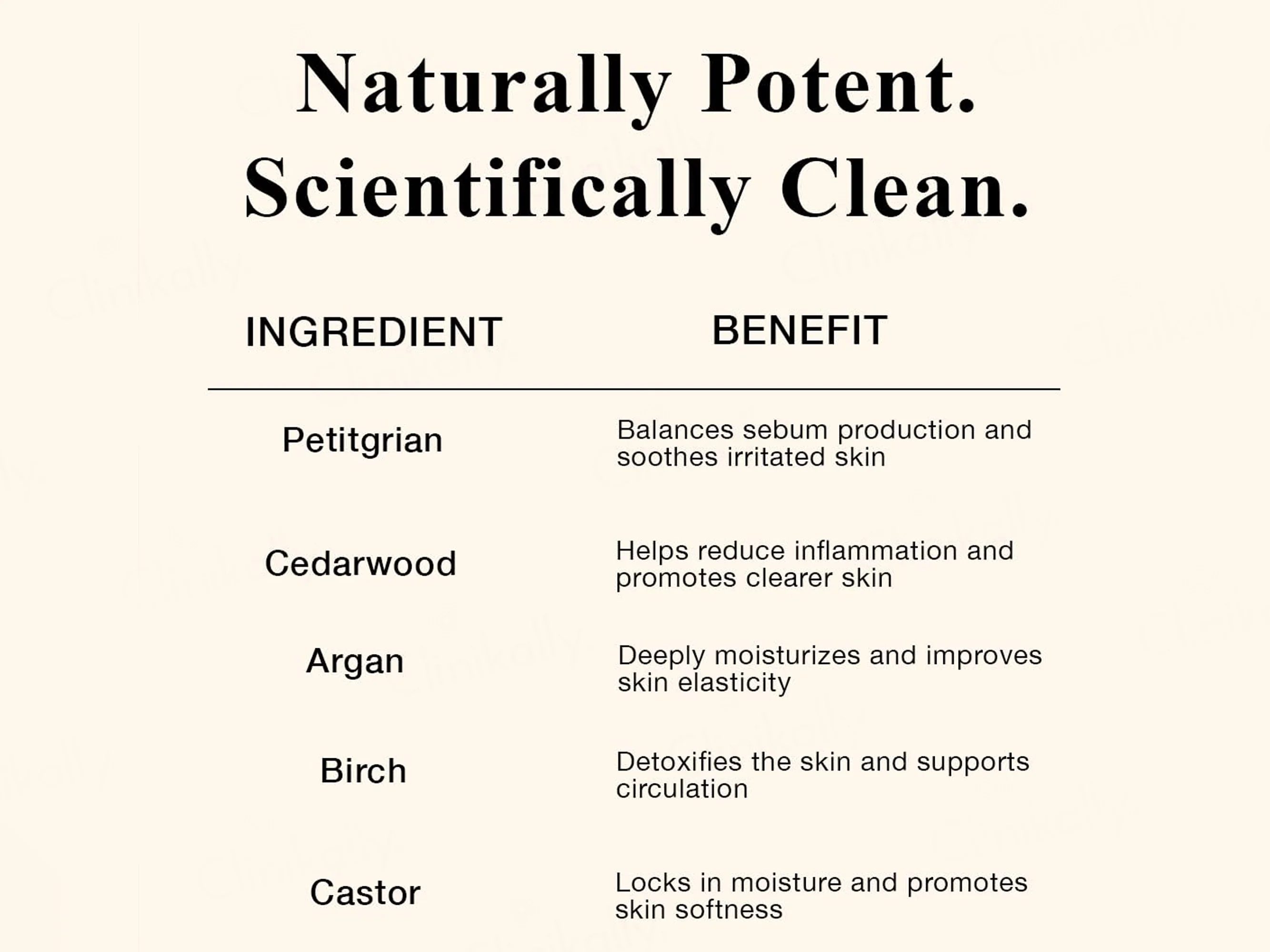 SKOG BO Cedarwood & Petitgrain Body Oil - Image 4