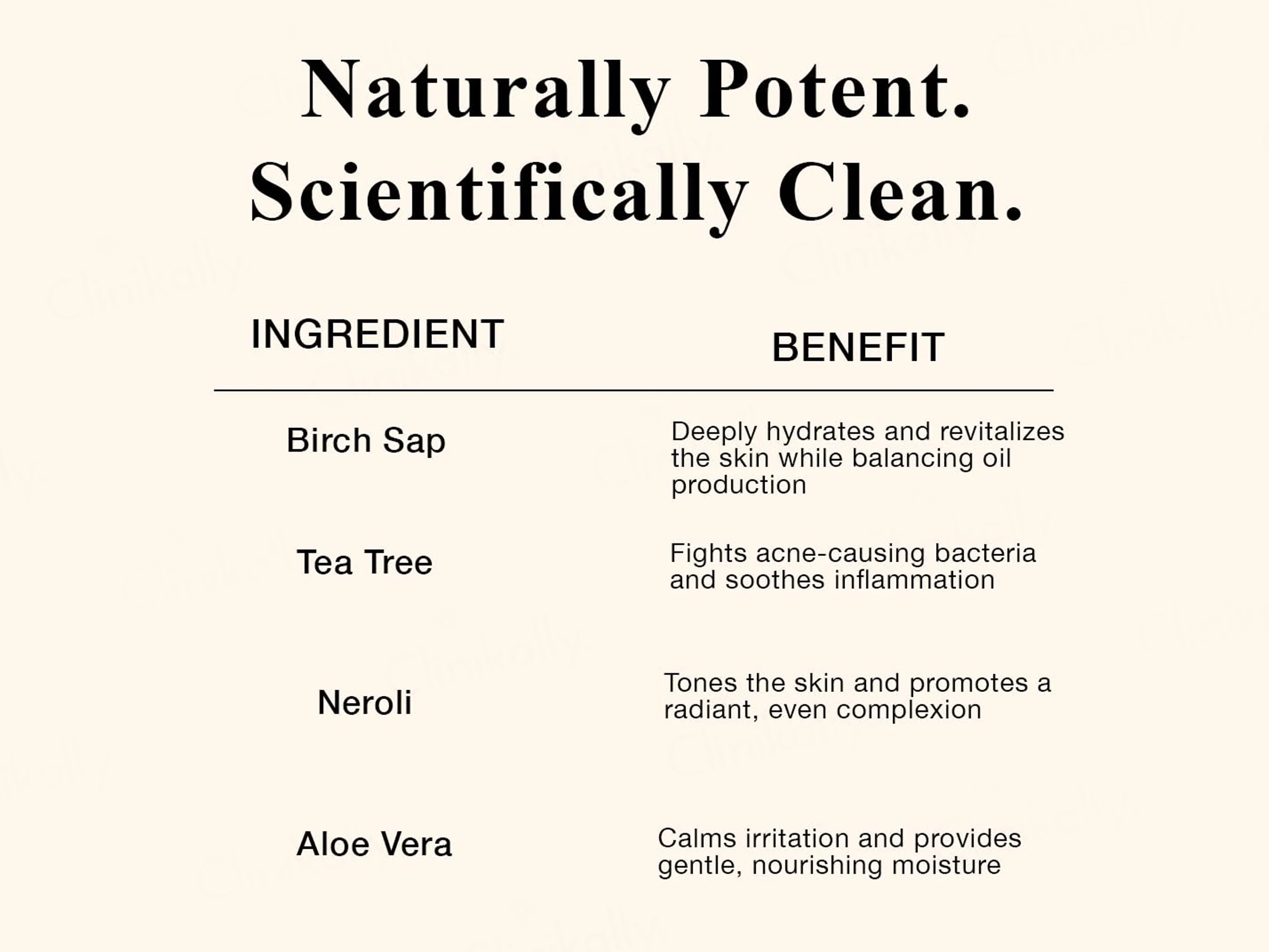 SKOG FC Birch Sap Facial Cleanser - Image 4