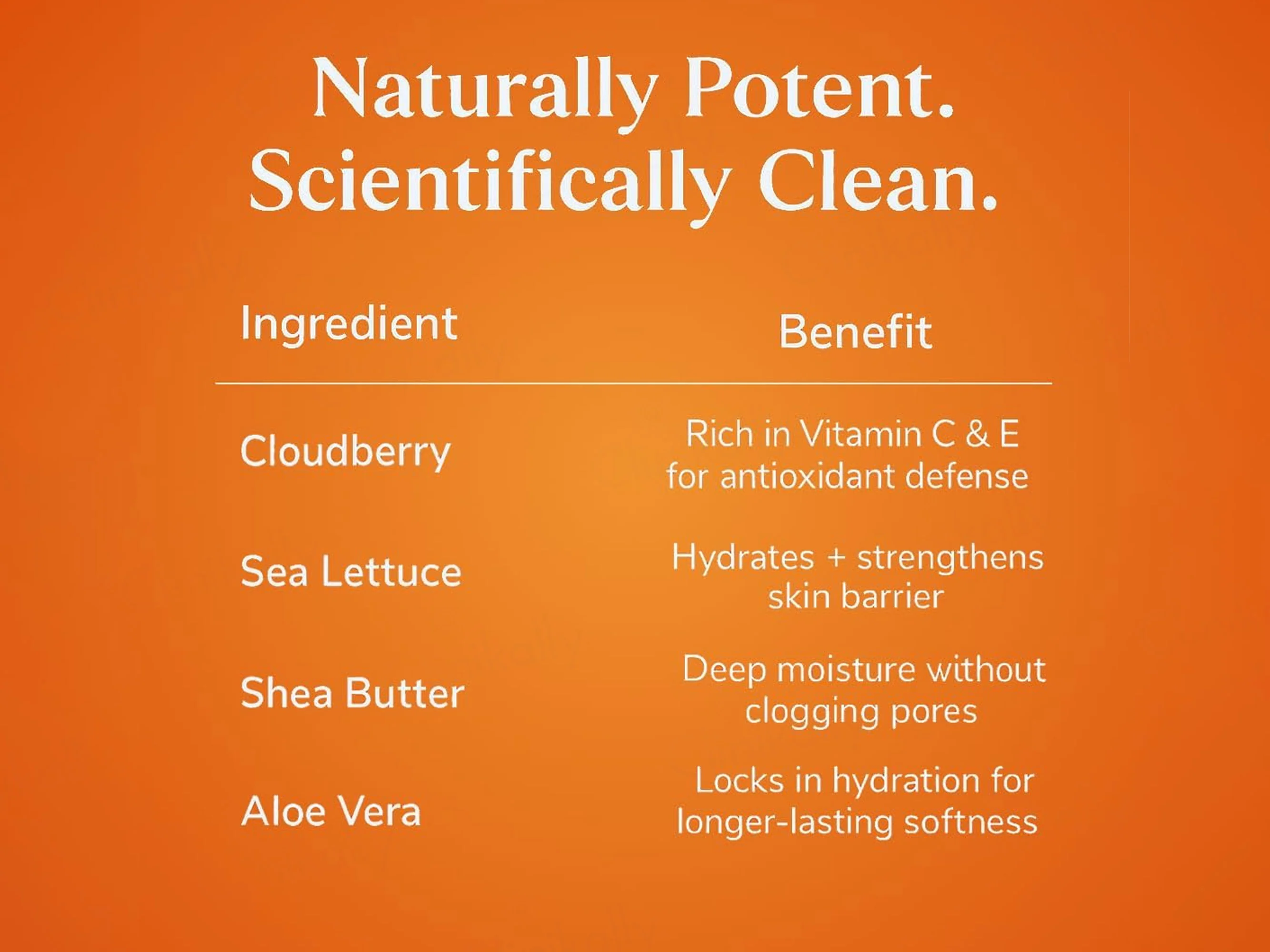 SKOG FHC Cloudberry & Sea Lettuce Hydrating Cream - Image 6