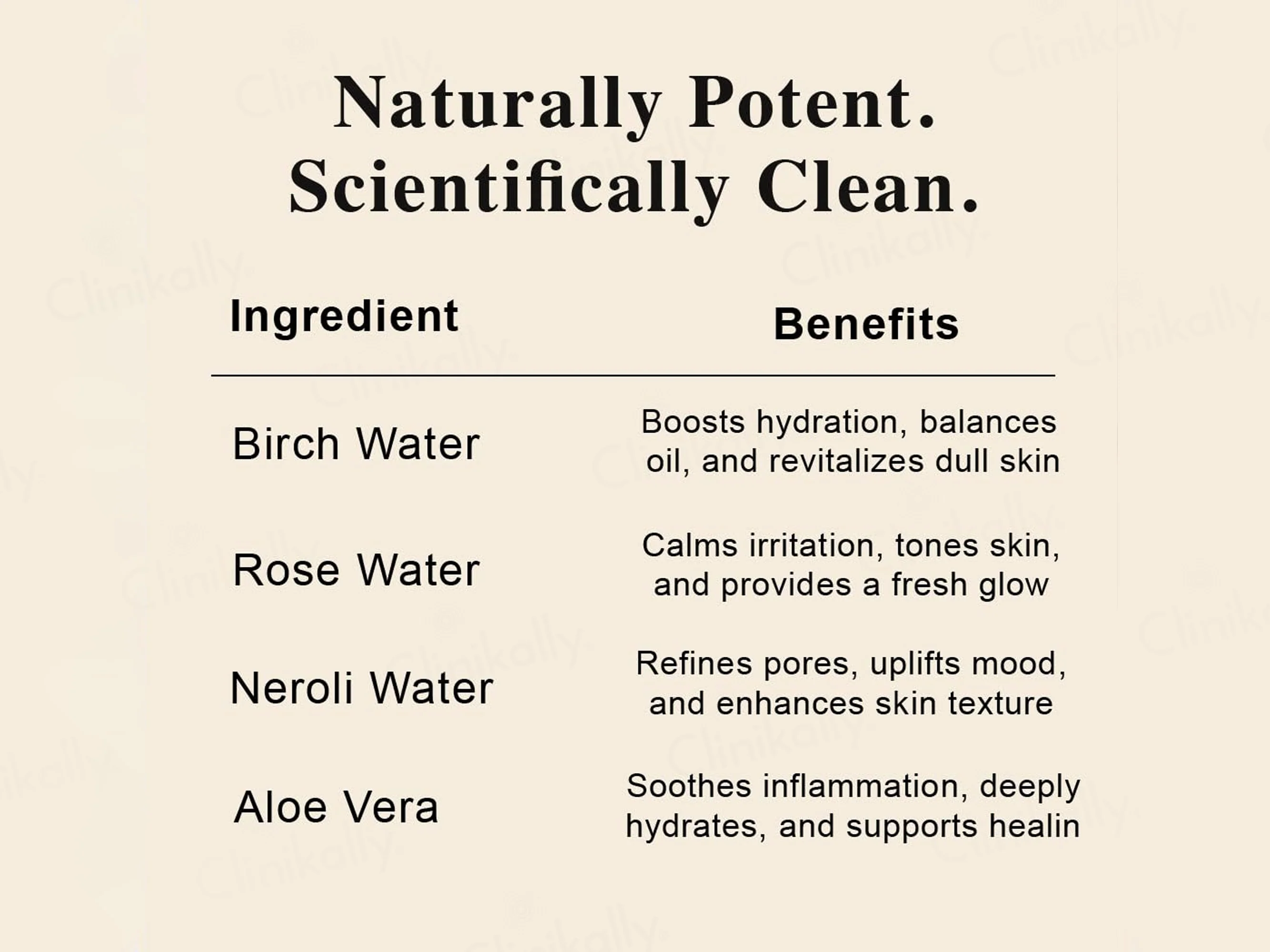 SKOG FT Birch Sap Facial Tonic Mist - Image 5