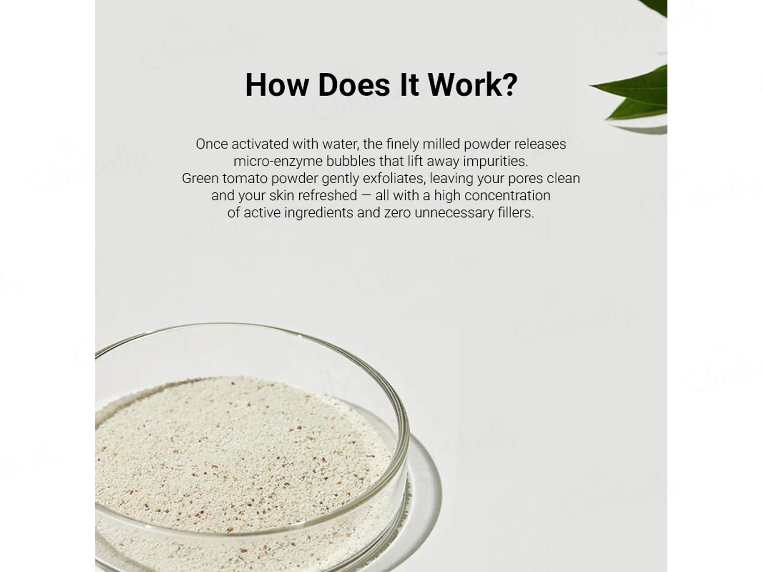Sungboon Editor Green Tomato Deep Pore Clean Enzyme Powder Wash - Image 7