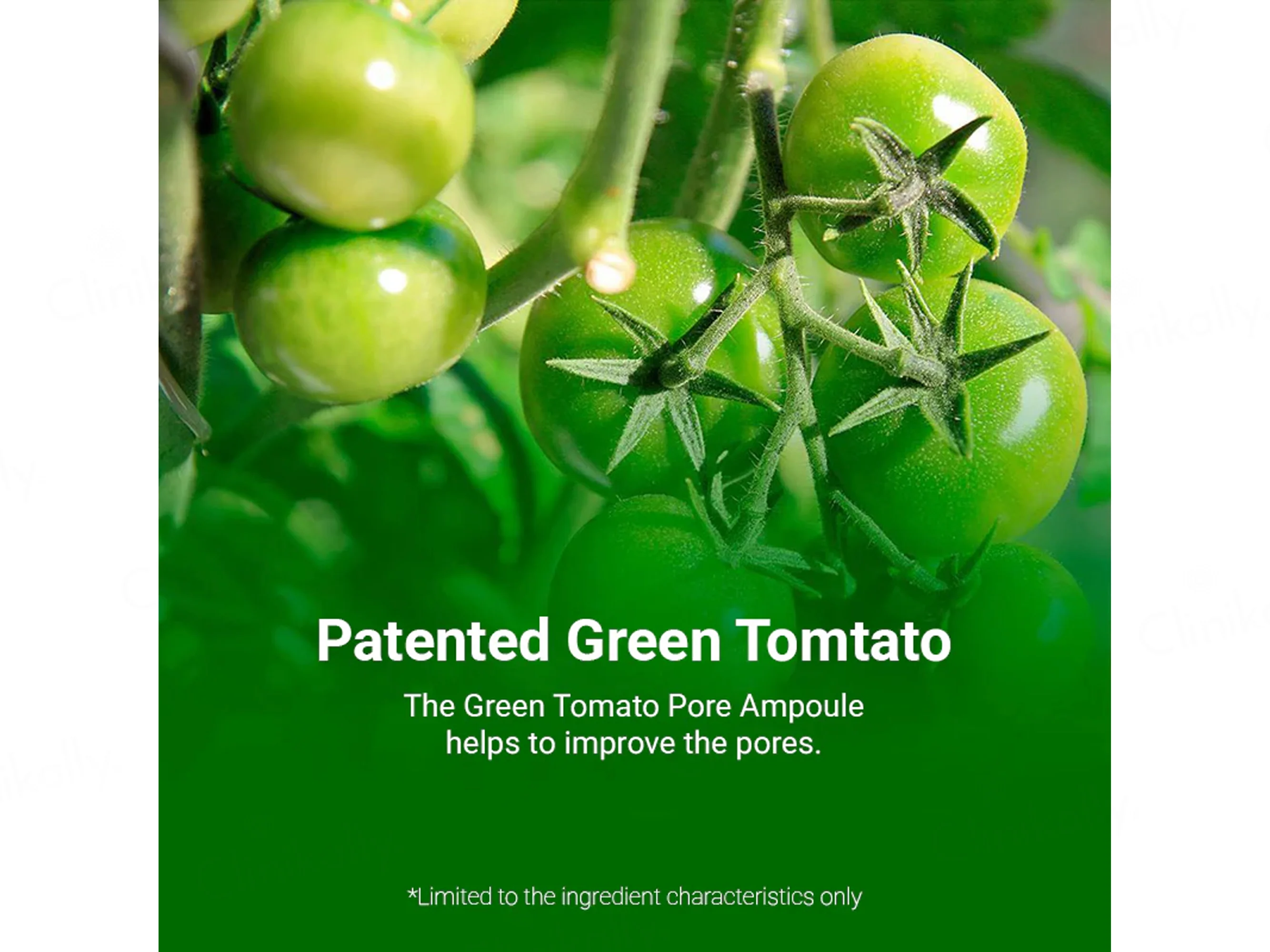 Sungboon Editor Green Tomato Pore Blurring Sun Cream - Image 7