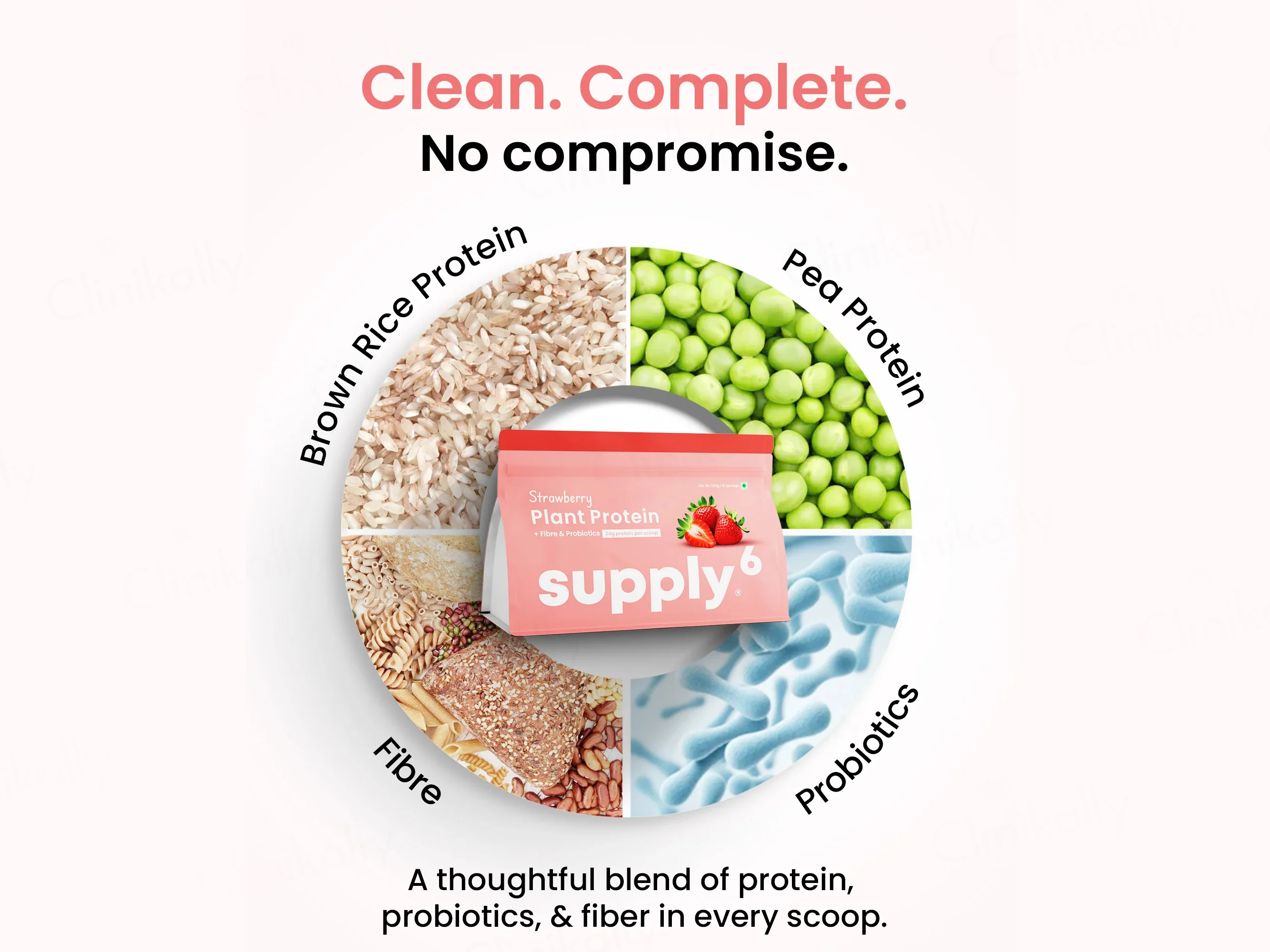 Supply6 Fiber & Probiotics Plant Protein Powder - Image 6
