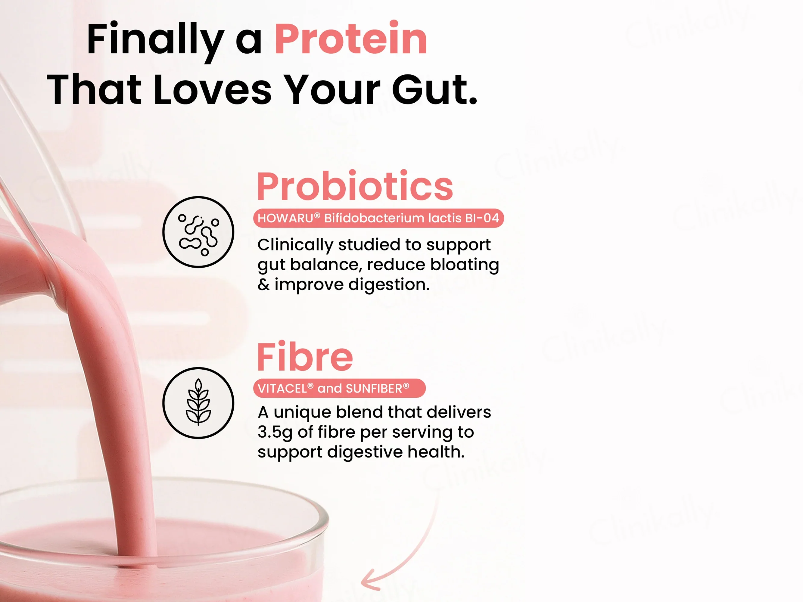 Supply6 Fiber & Probiotics Plant Protein Powder - Image 7