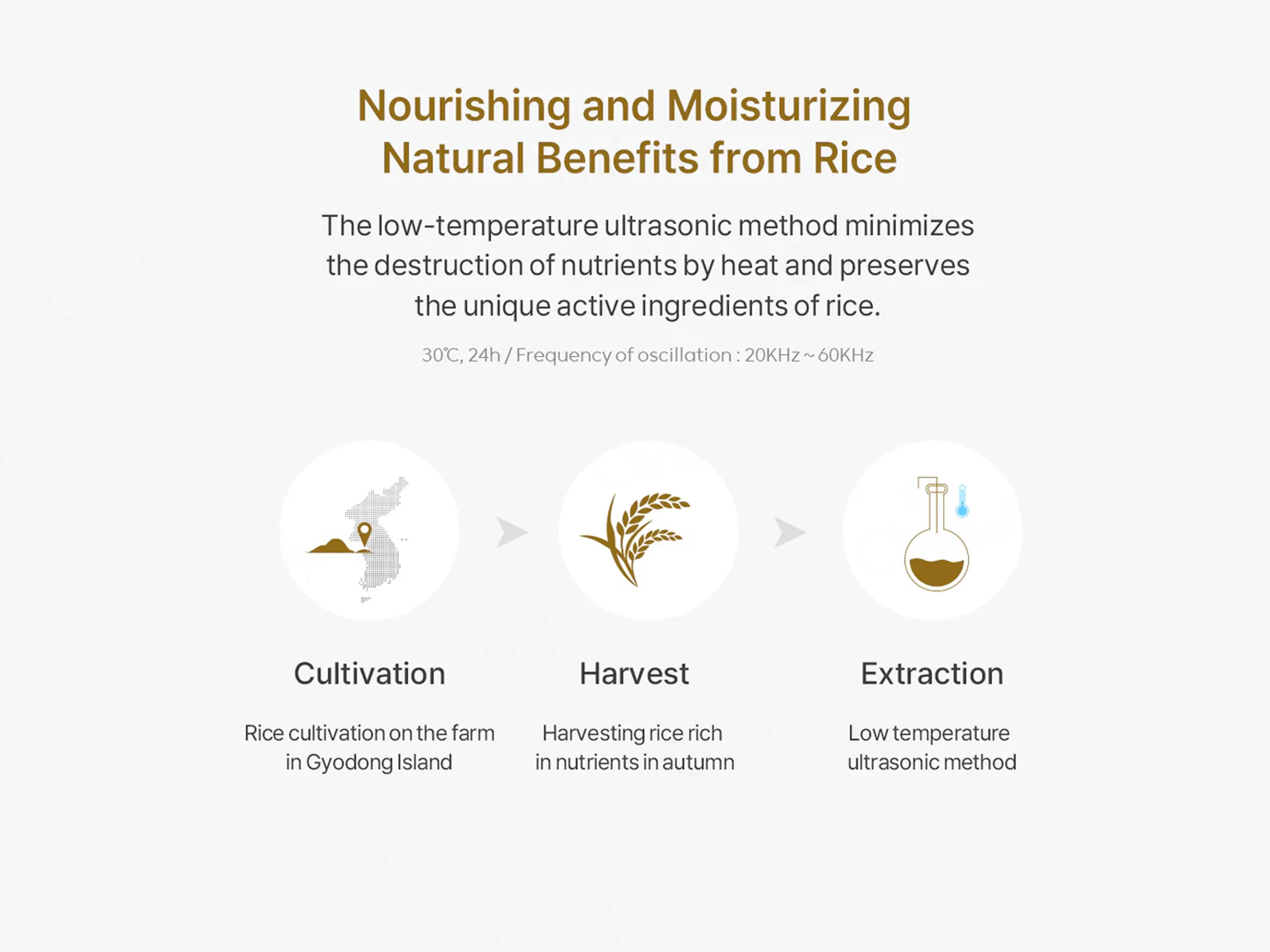 Thank You Farmer Rice Pure Clay Mask To Foam Cleanser - Image 9