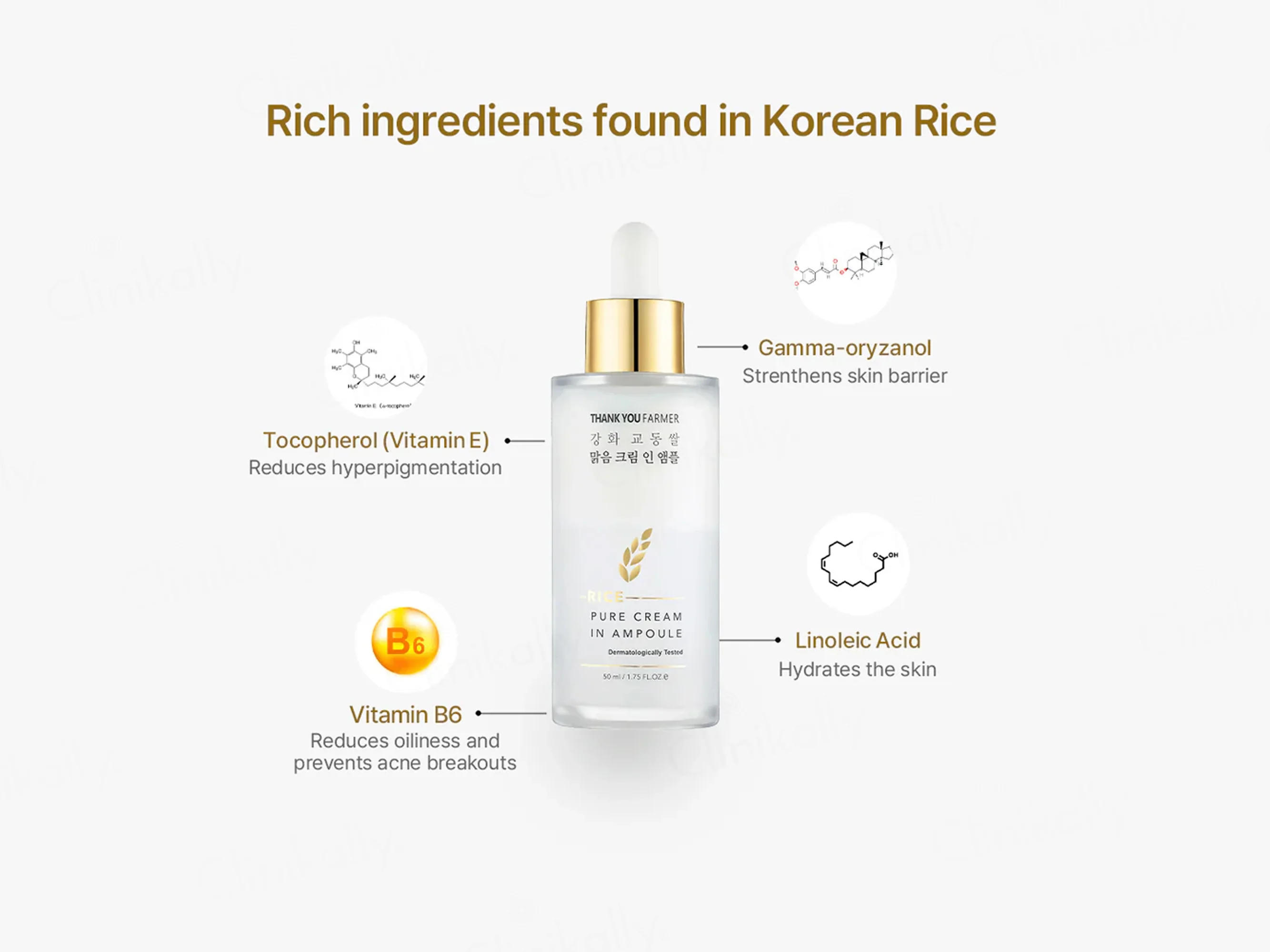 Thank You Farmer Rice Pure Cream In Ampoule - Image 8
