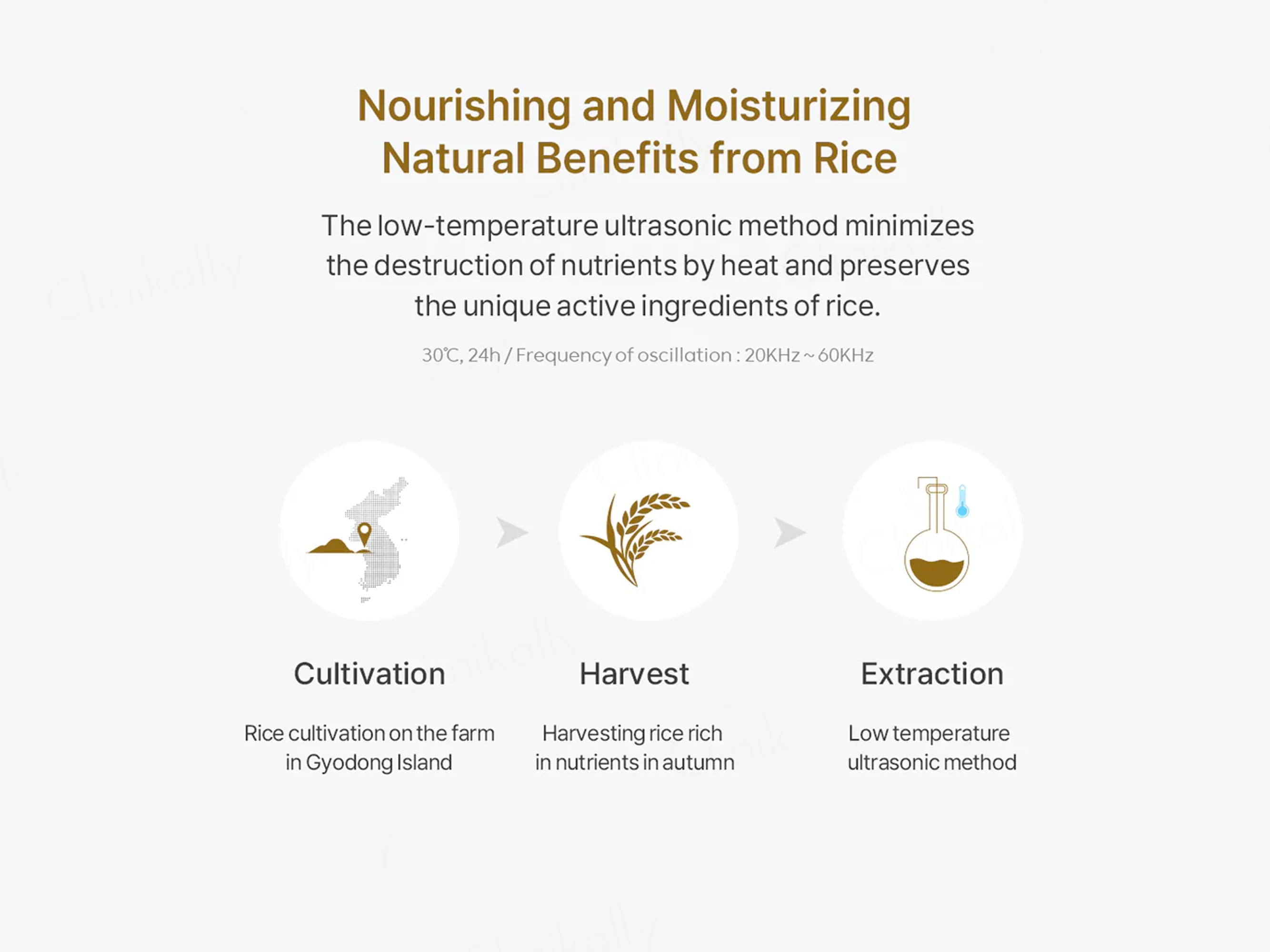 Thank You Farmer Rice Pure Essential Toner - Image 9
