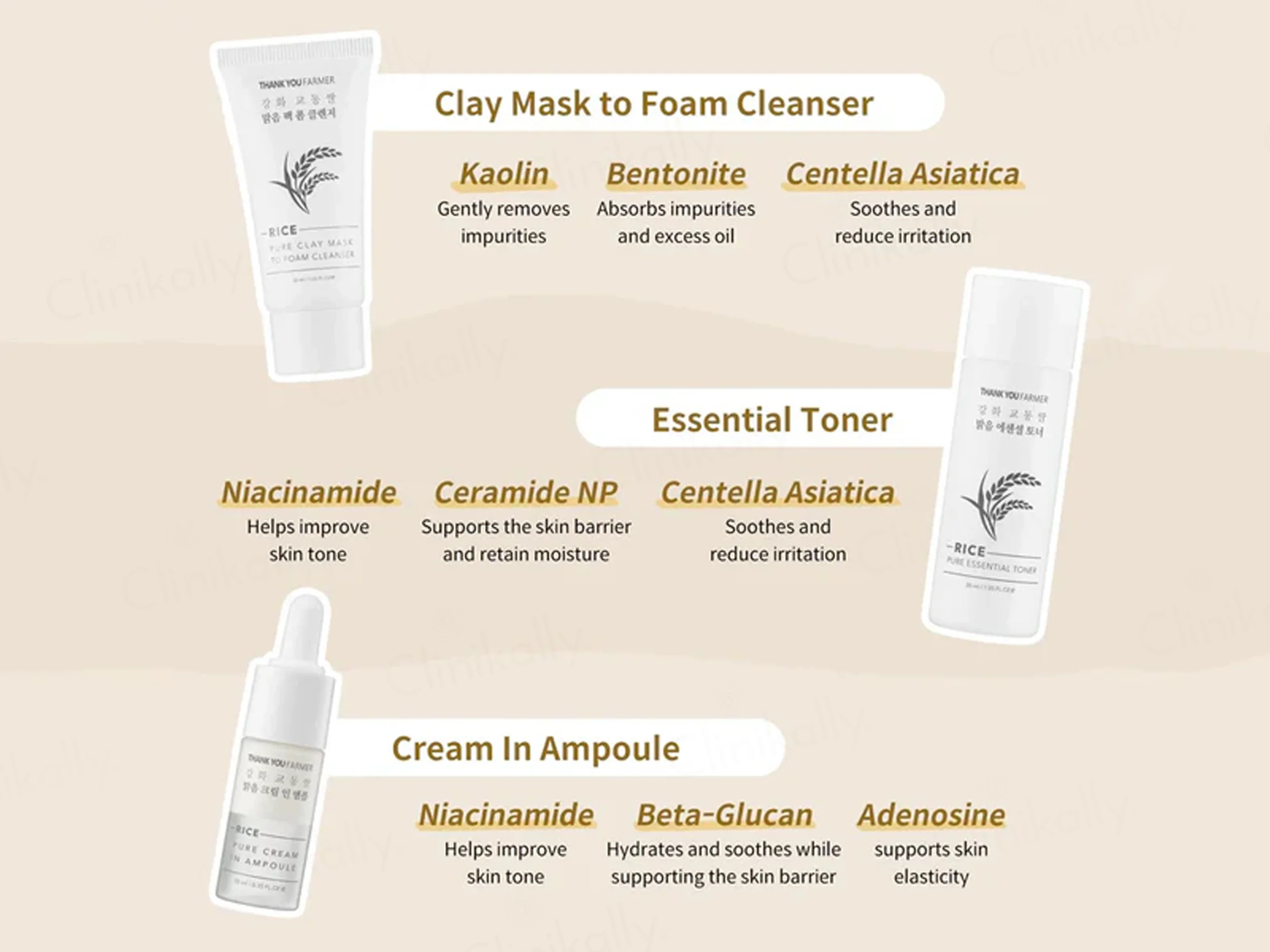 Thank You Farmer Rice Pure Glow Travel Kit - Image 2