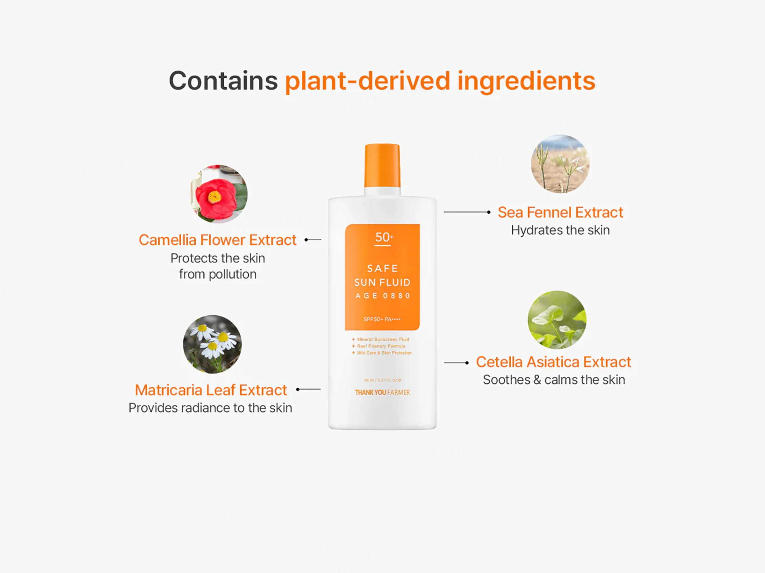 Thank You Farmer Safe Sun Fluid Age 0880 Sunscreen SPF 50+ PA++++ - Image 7