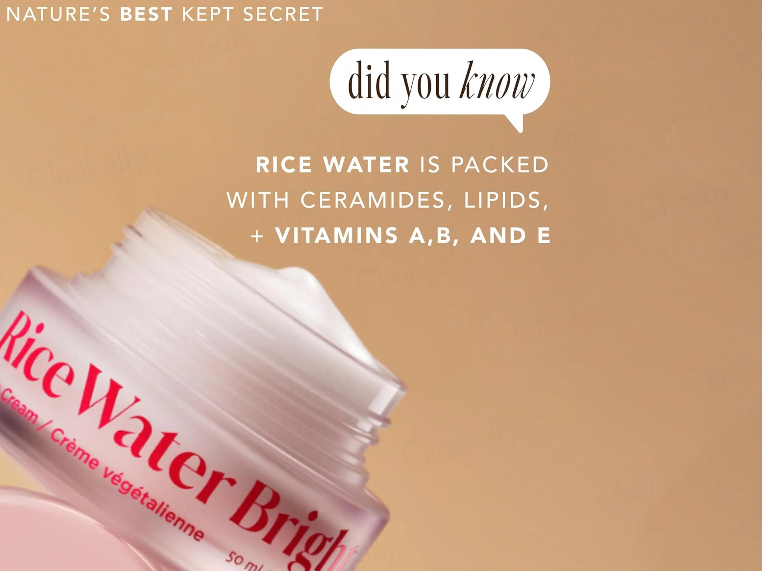 The Face Shop Rice Water Bright Vegan Cream - Image 6