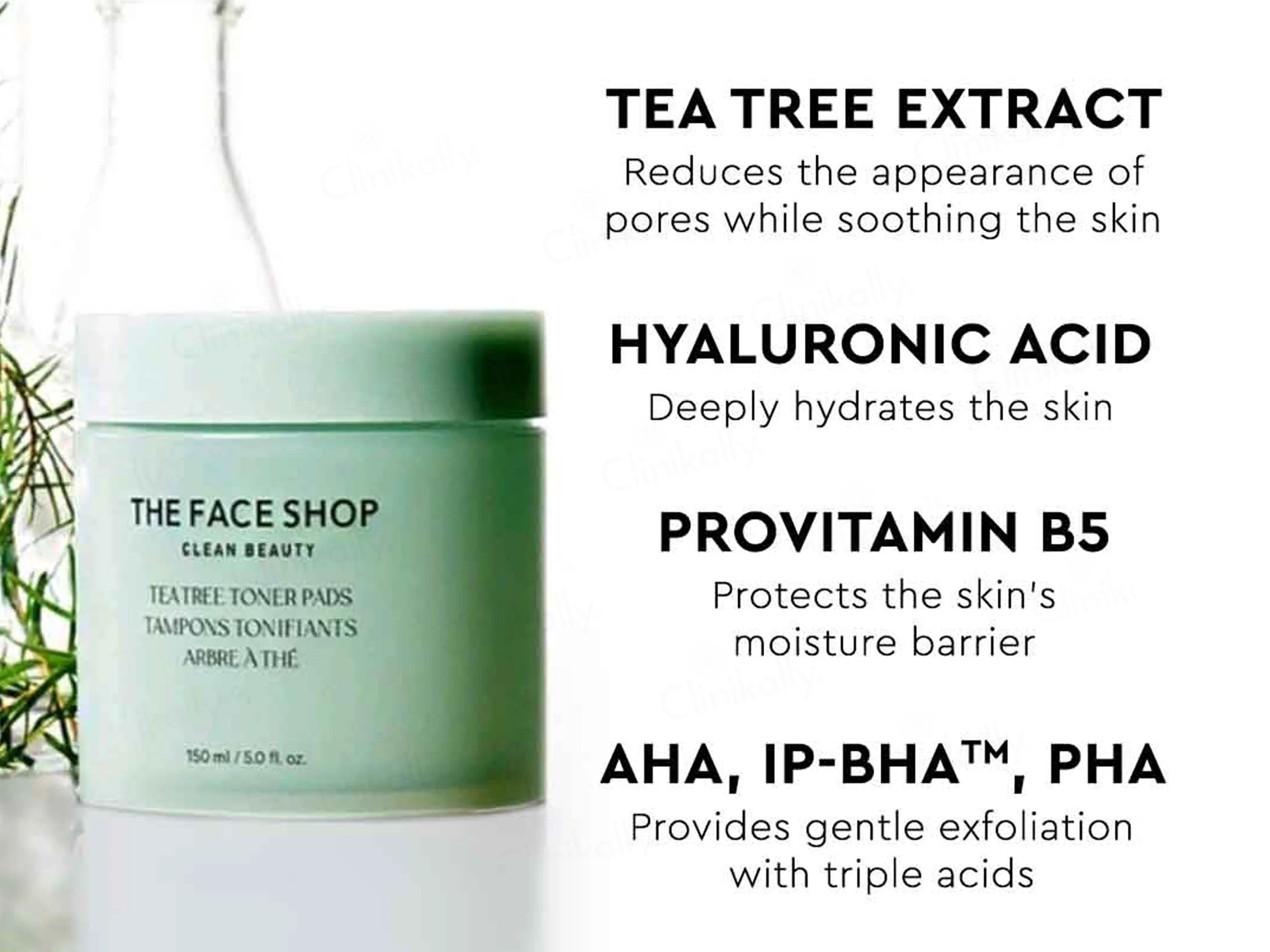 The Face Shop Tea Tree Toner Pads - Image 4