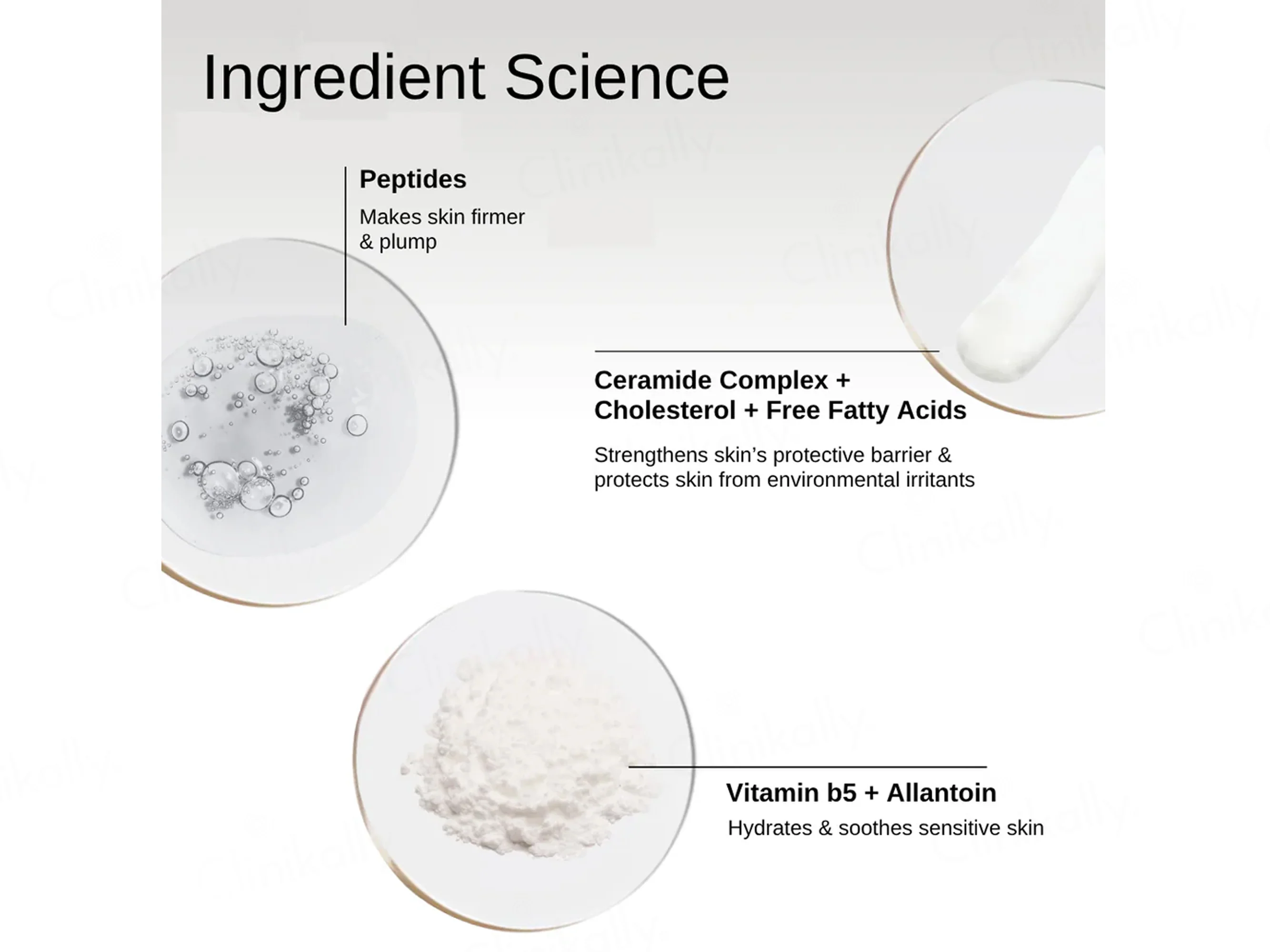 The FormulaRx Barrier Plus Peptide Ceramide Moisturizer - Image 5