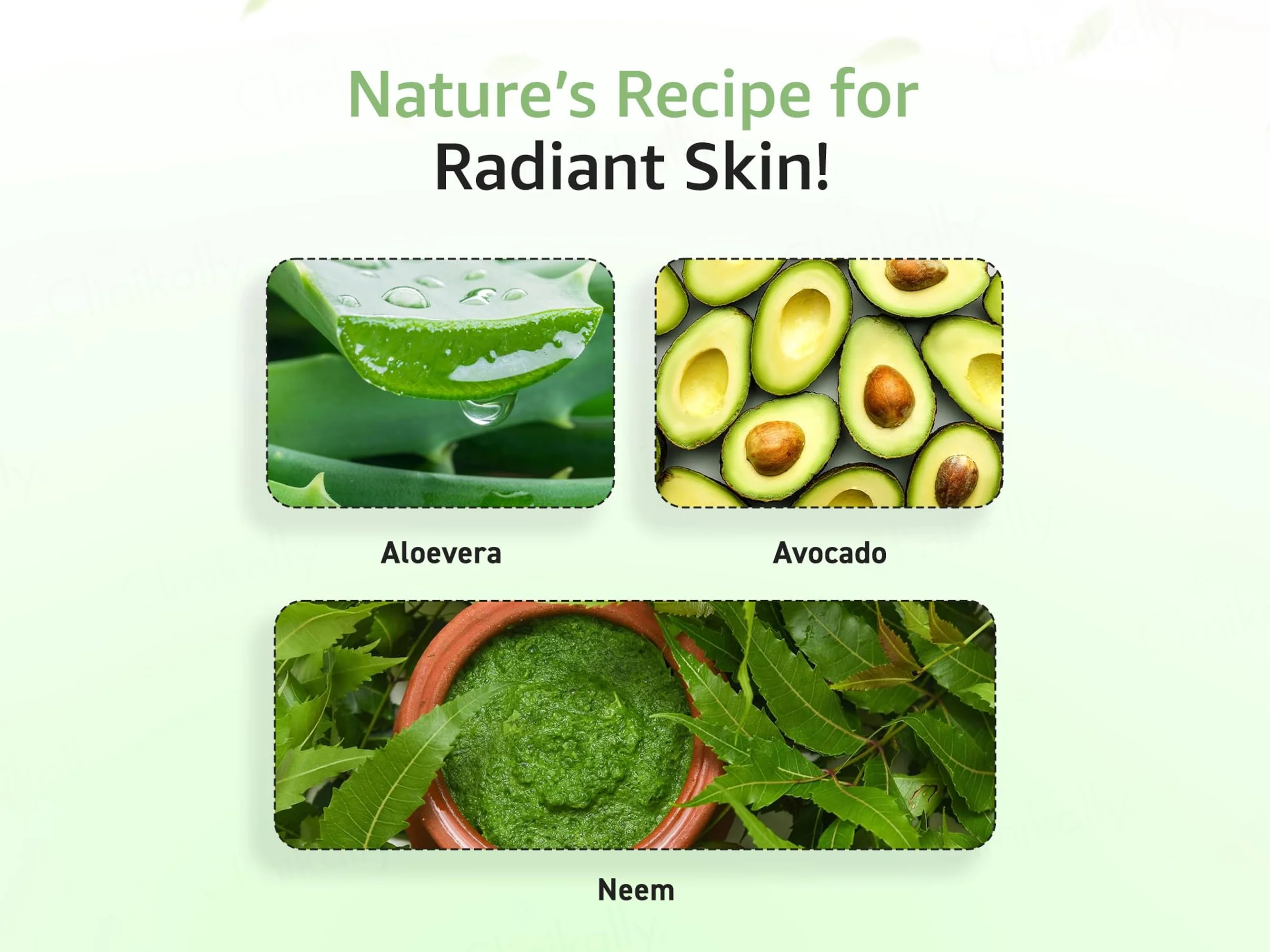 TWACHA Detoxifying Herbal Vidhi Facial Kit - Image 3