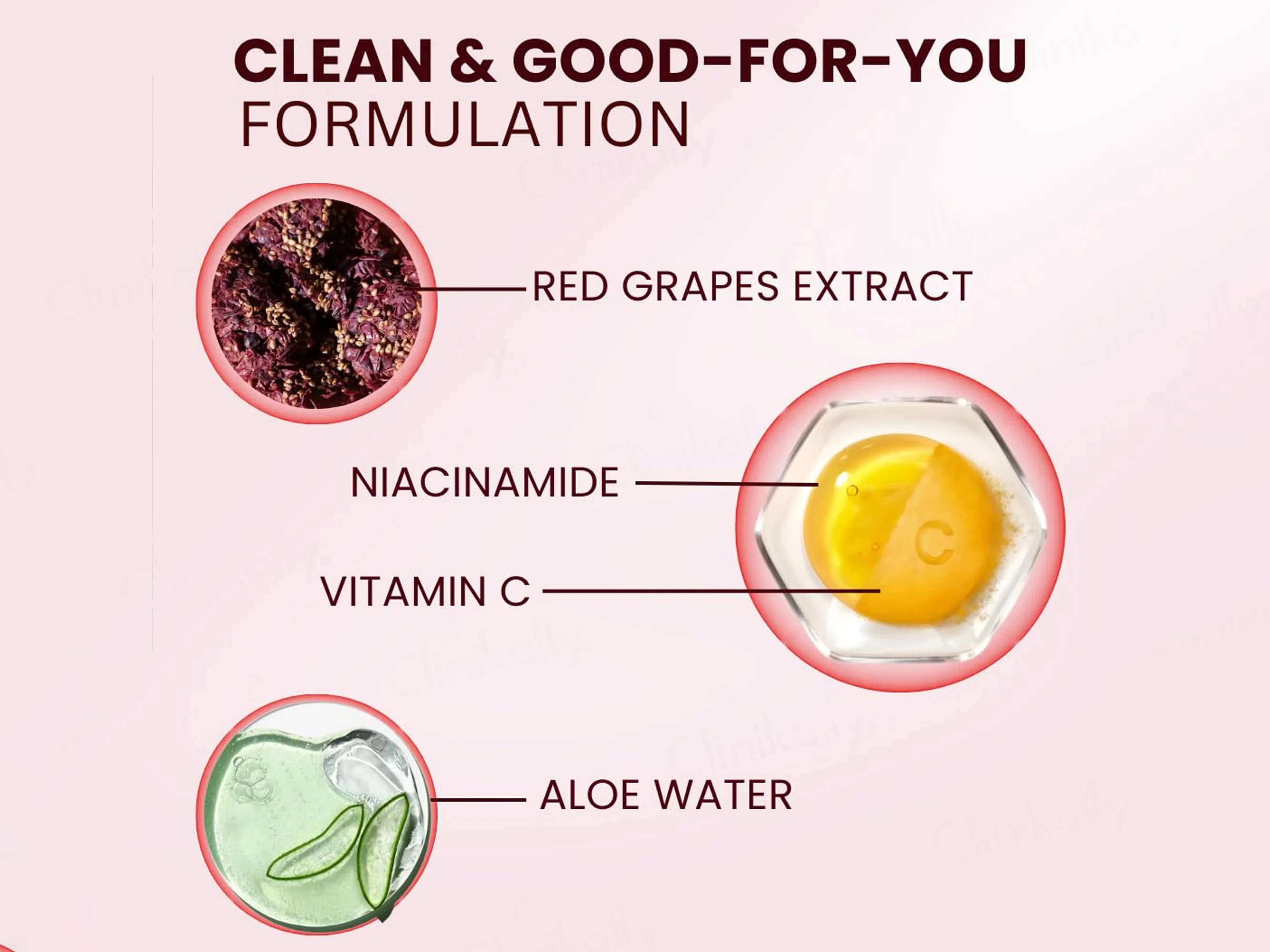 TWACHA Moisturizing Red Wine Facial Kit - Image 3