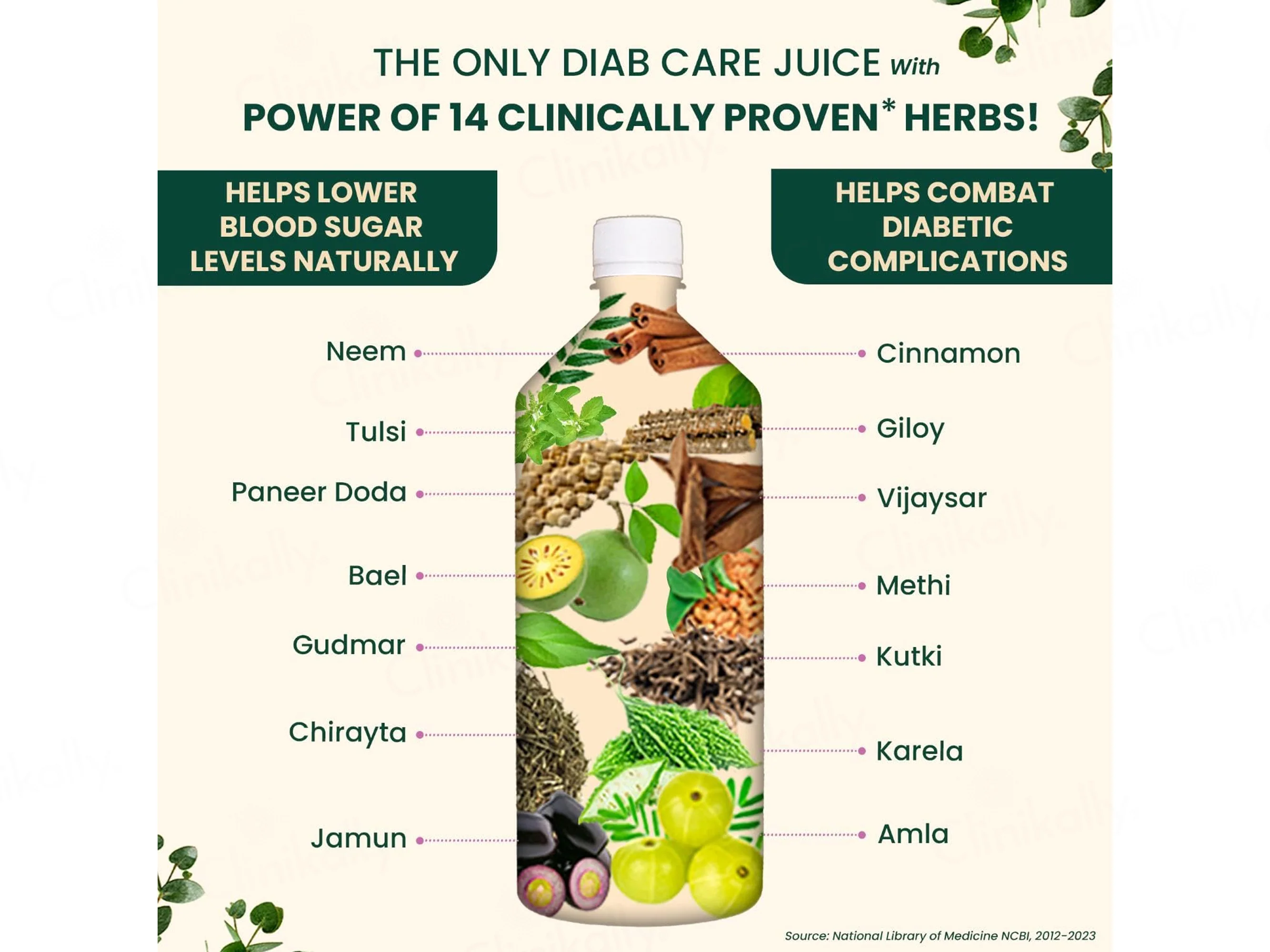 Vansaar 45+ Diabetic Care Diab Balance Supplement Juice - Image 4