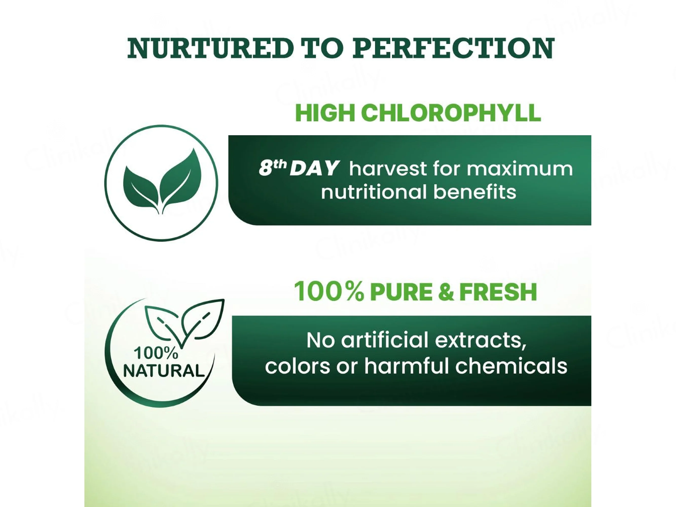 Vansaar 45+ Natural Detoxifier Pure Wheat Grass Supplement Juice - Image 3