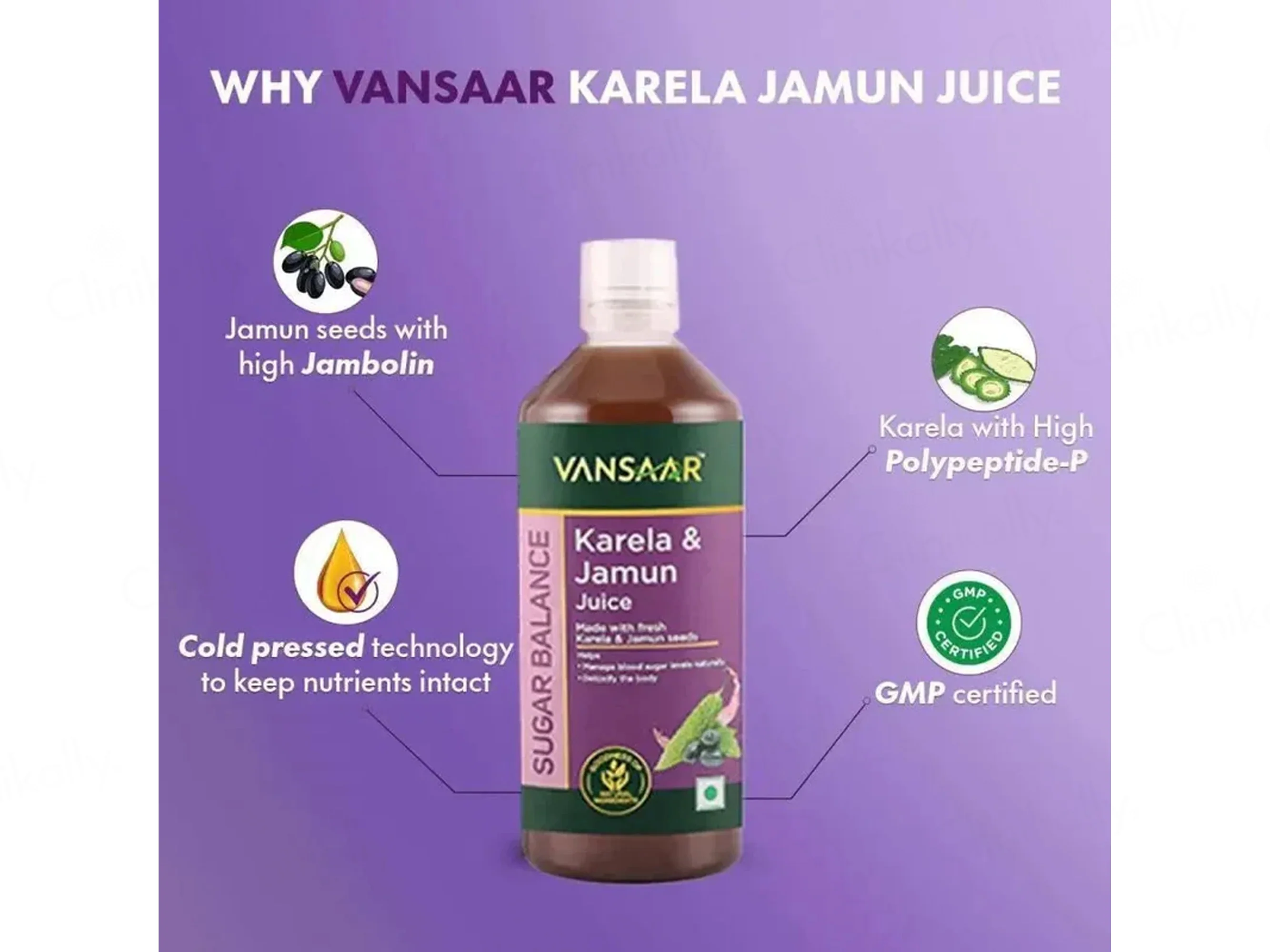 Vansaar 45+ Sugar Balance Karela Jamun Supplement Juice - Image 4