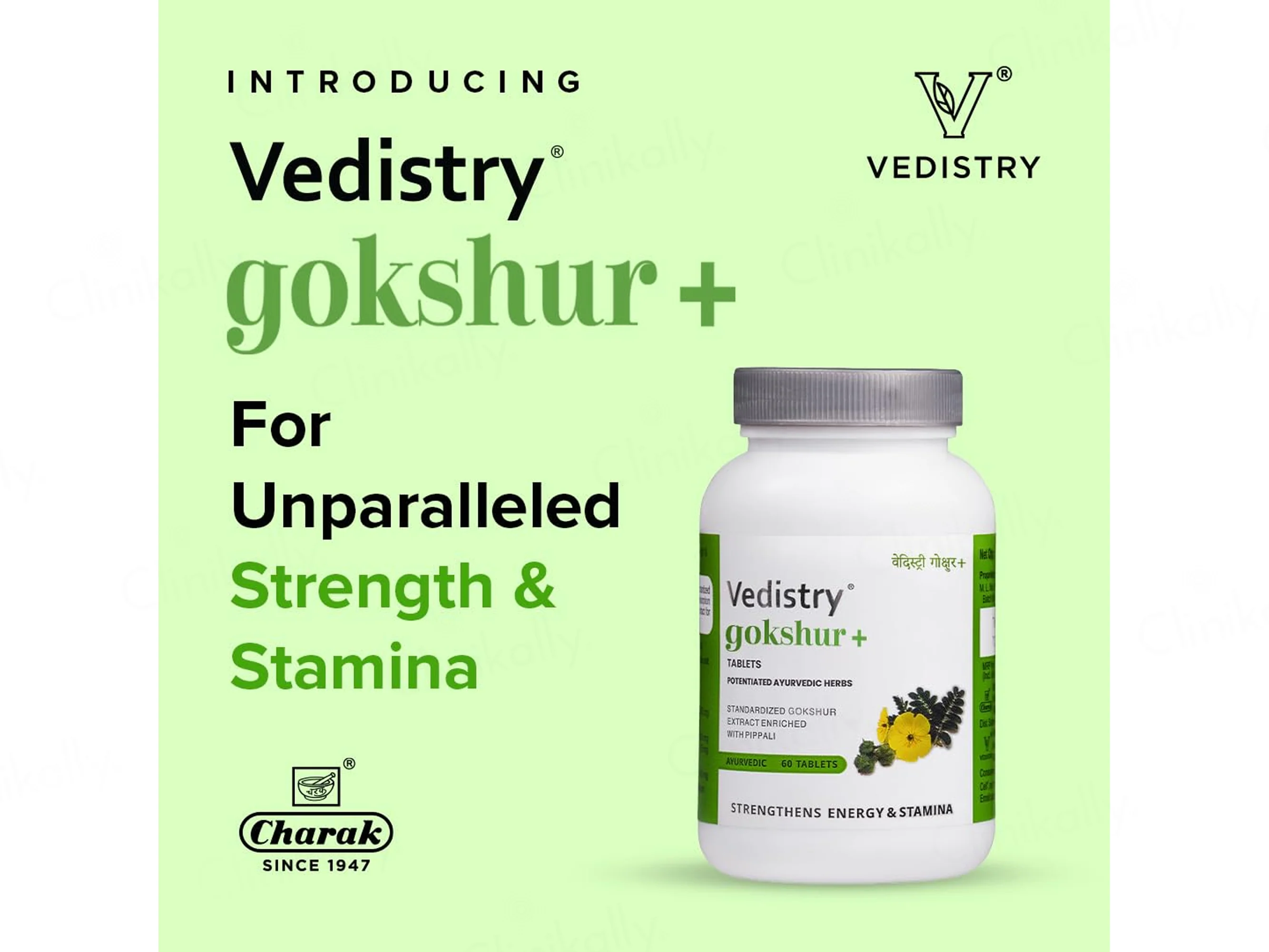 Vedistry Gokshur+ Ayurvedic Tablet - Image 2