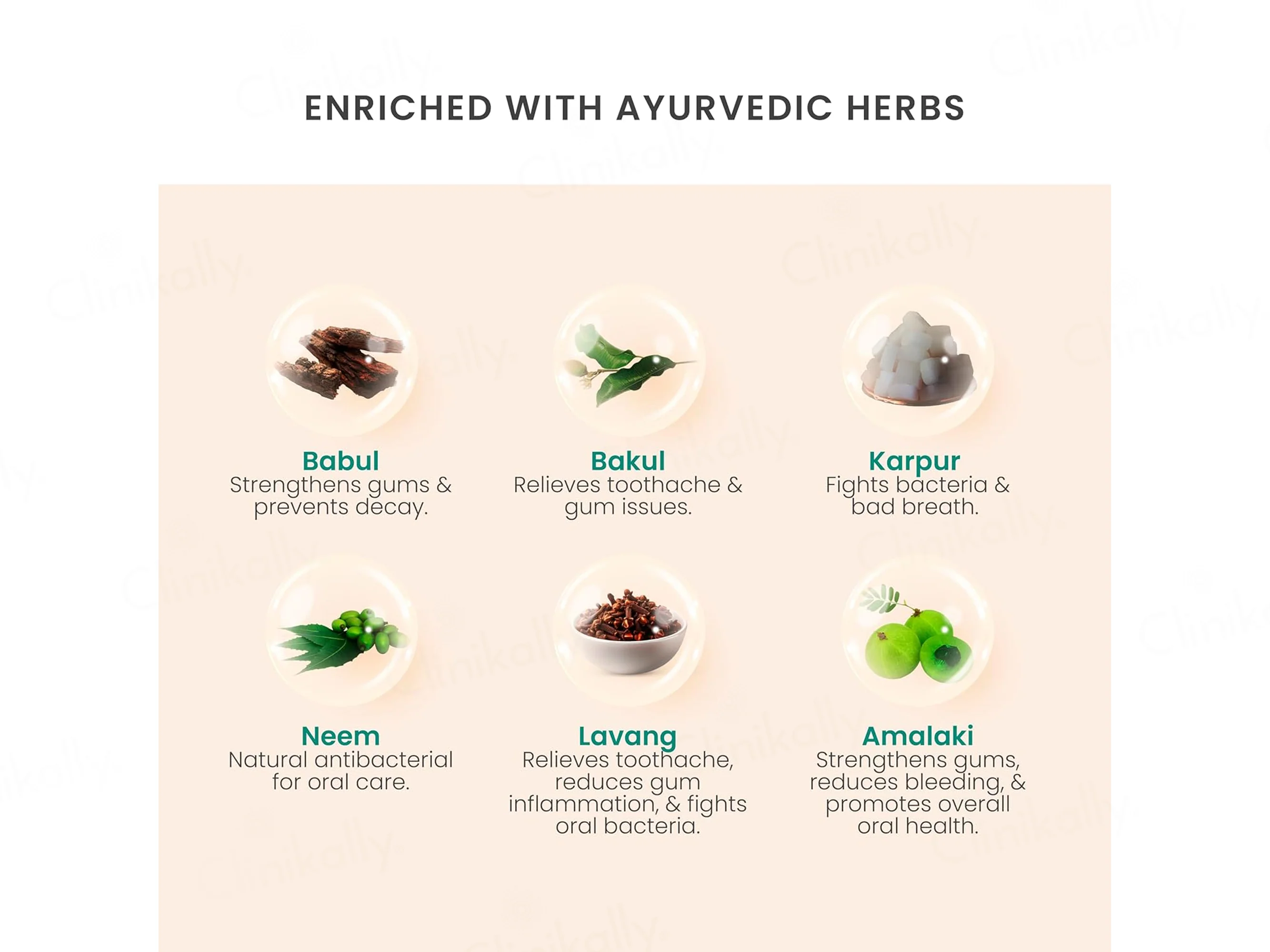 Vedistry Gumcare Ayurvedic Oral Care Gel - Image 8