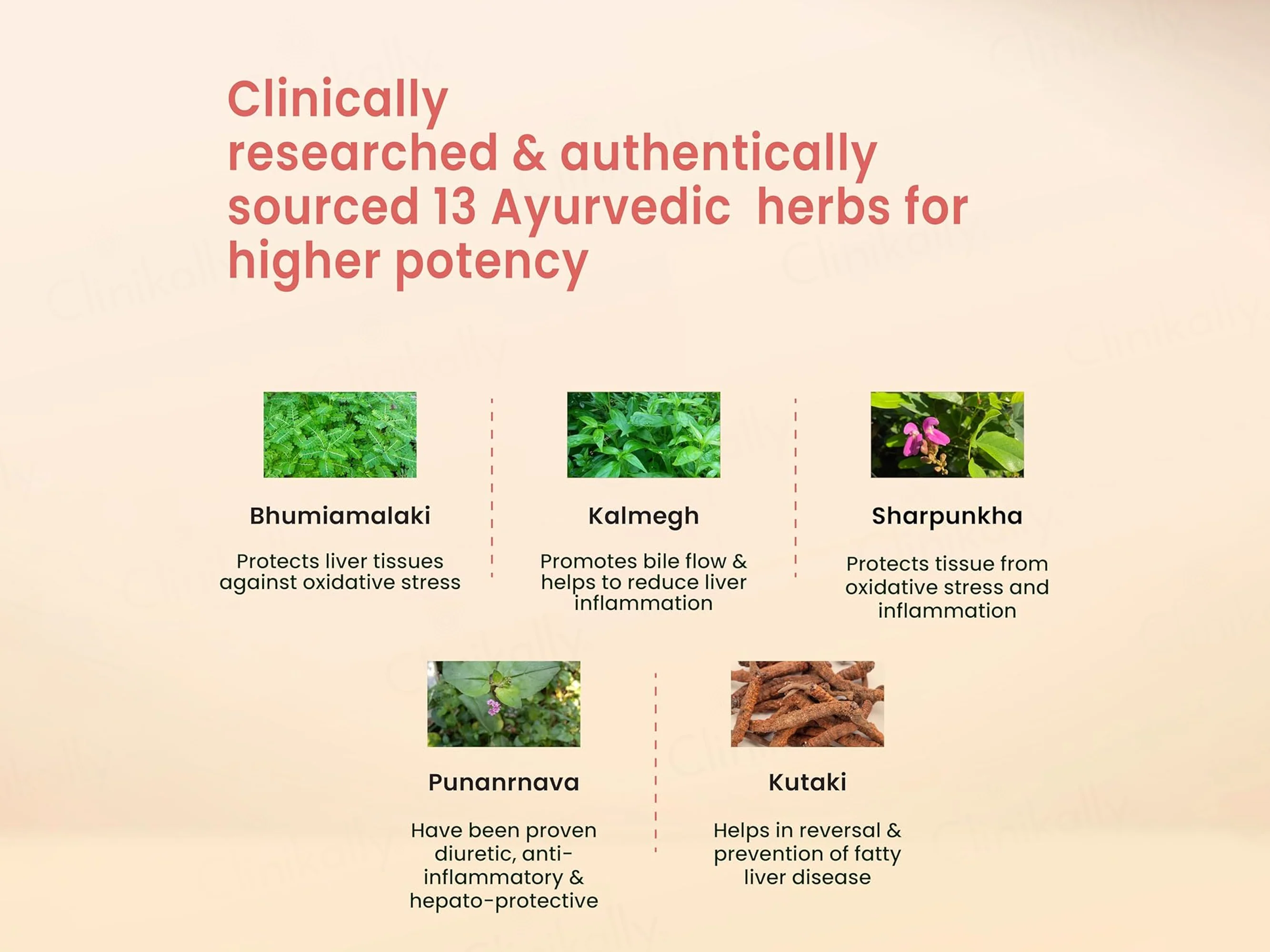 Vedistry Liver Care Ayurvedic Tablet - Image 4