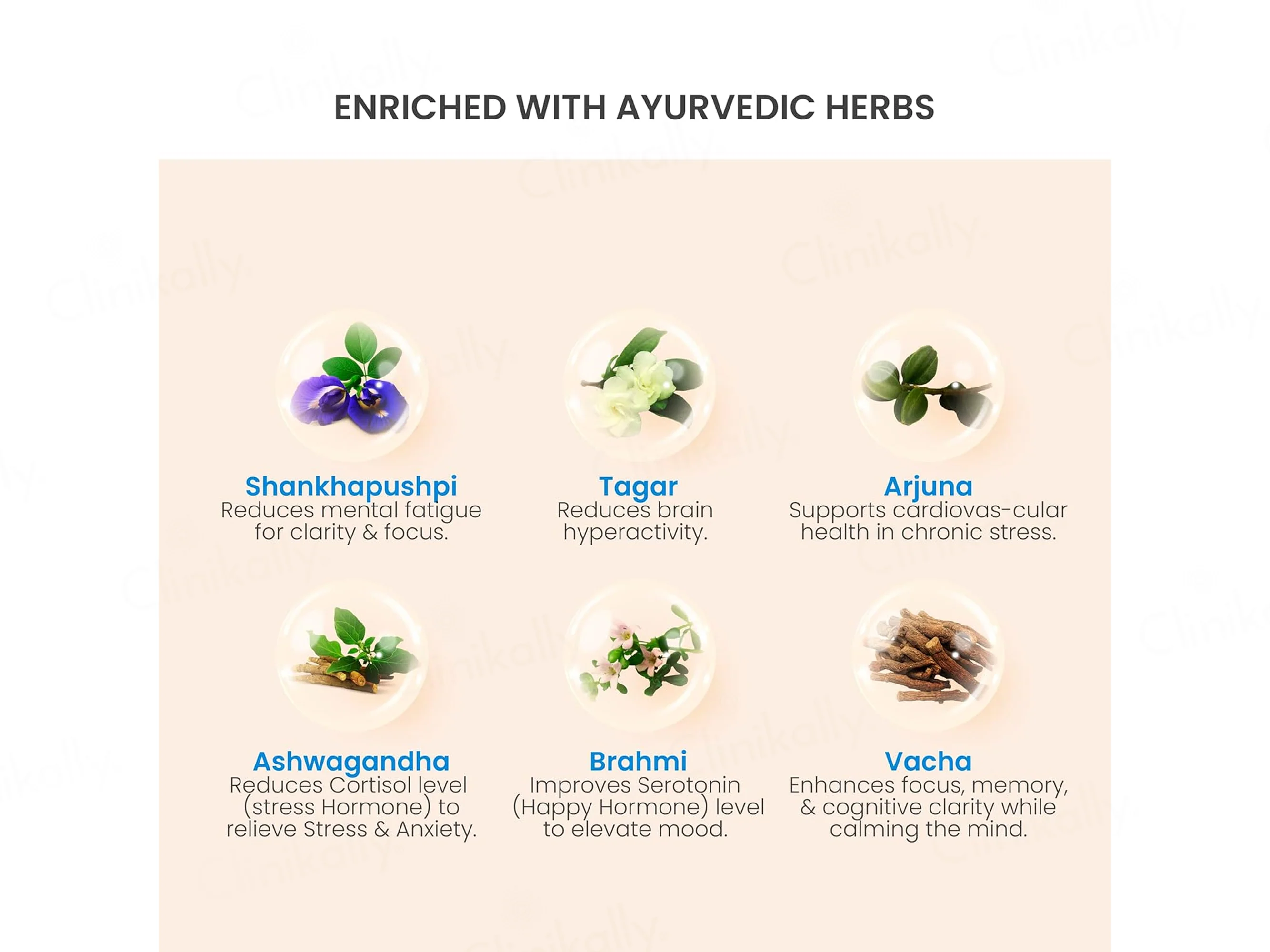 Vedistry Mentacalm Ayurvedic Tablet - Image 7