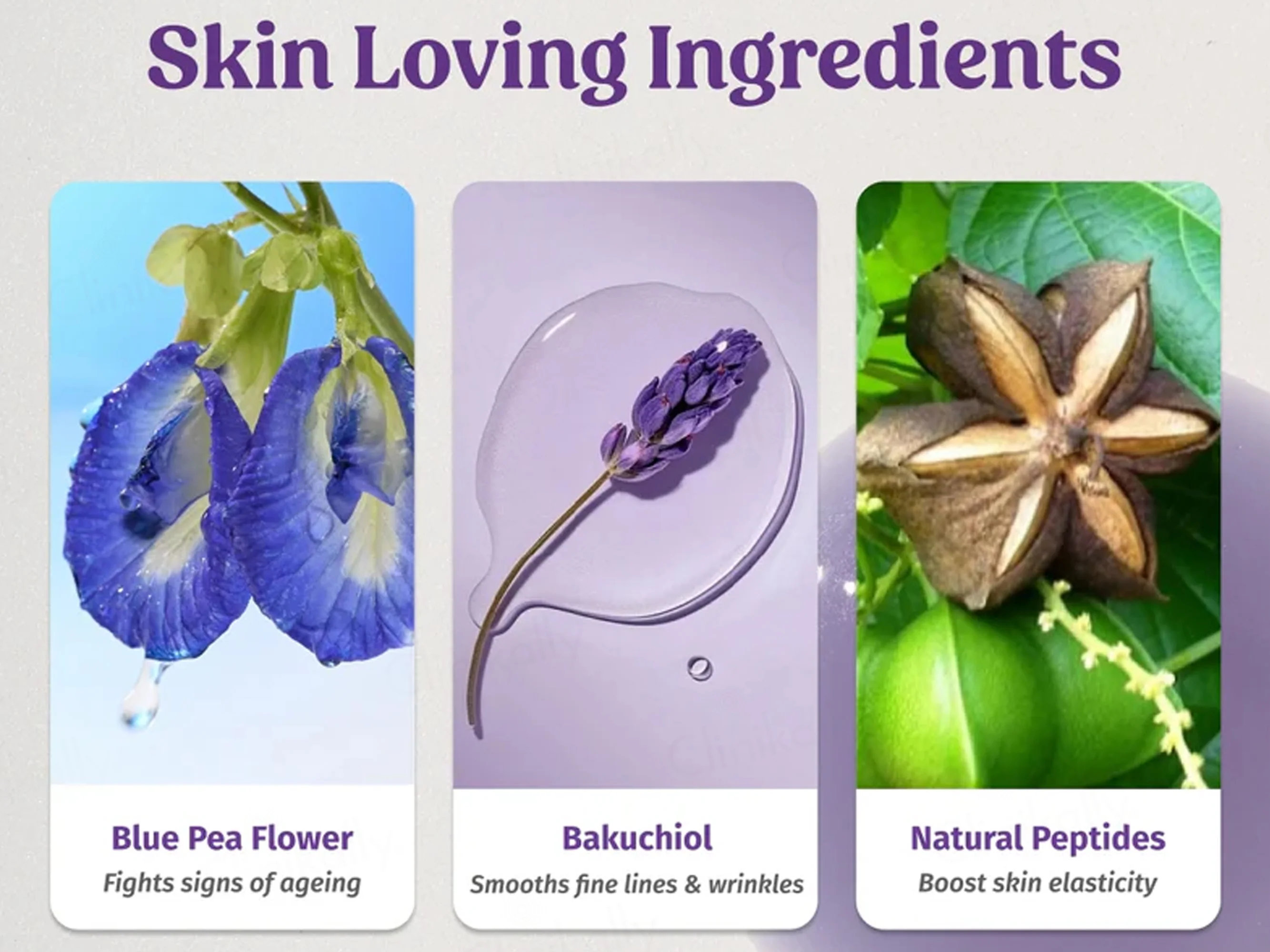 Vilvah Store Better Ageing Overnight Skin Renewal Face Serum - Image 6