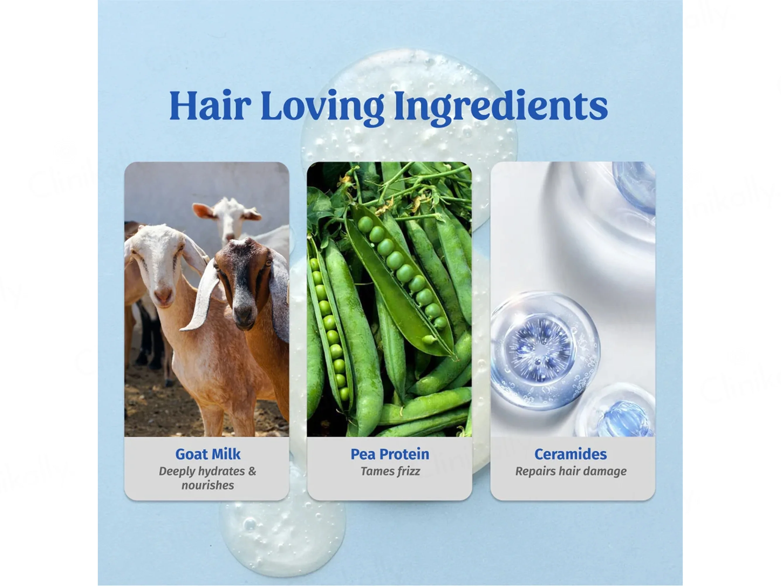 Vilvah Store Goat Milk Shampoo - Image 3
