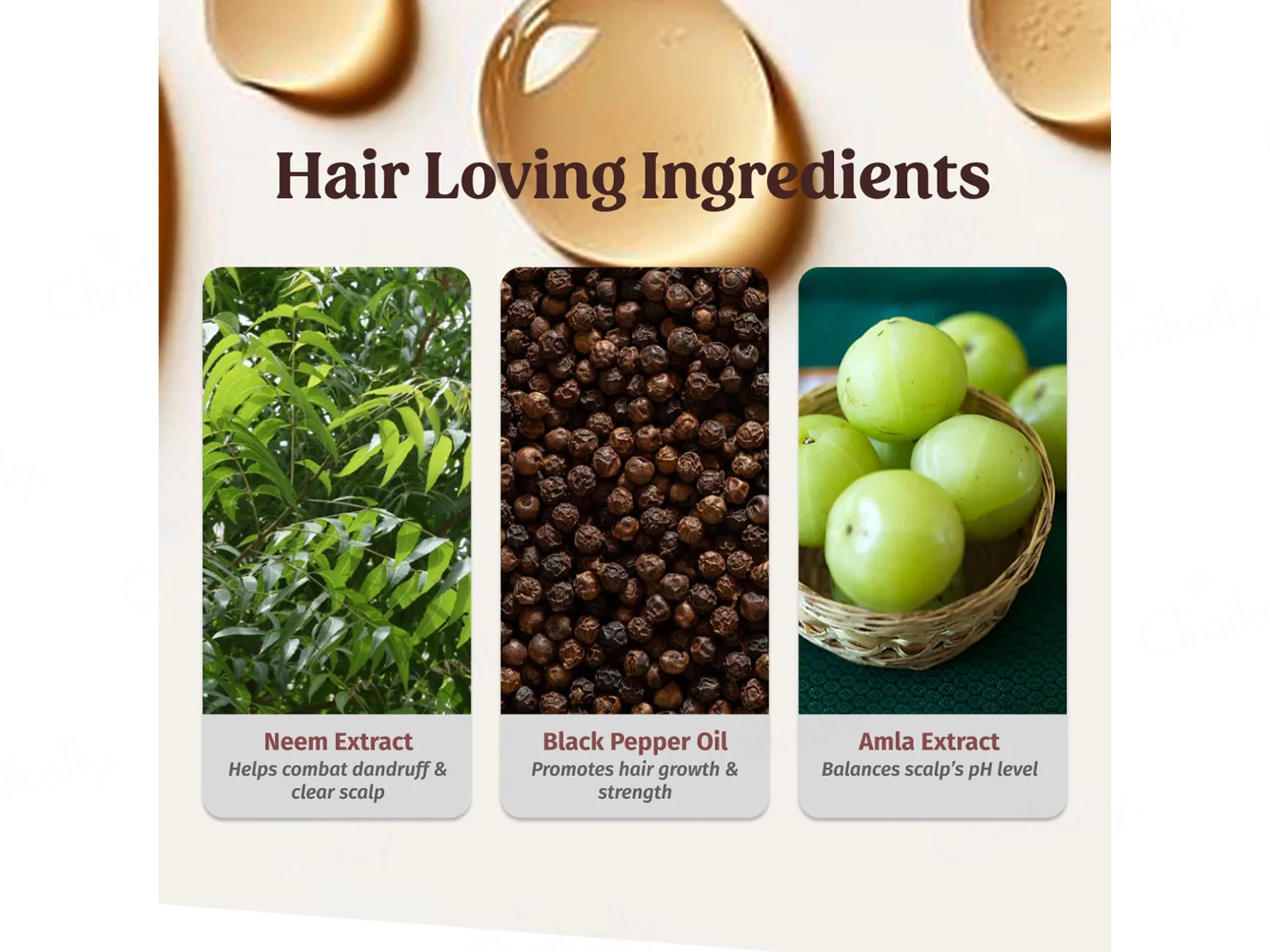 Vilvah Store Herbal Dandruff Control Shampoo - Image 4