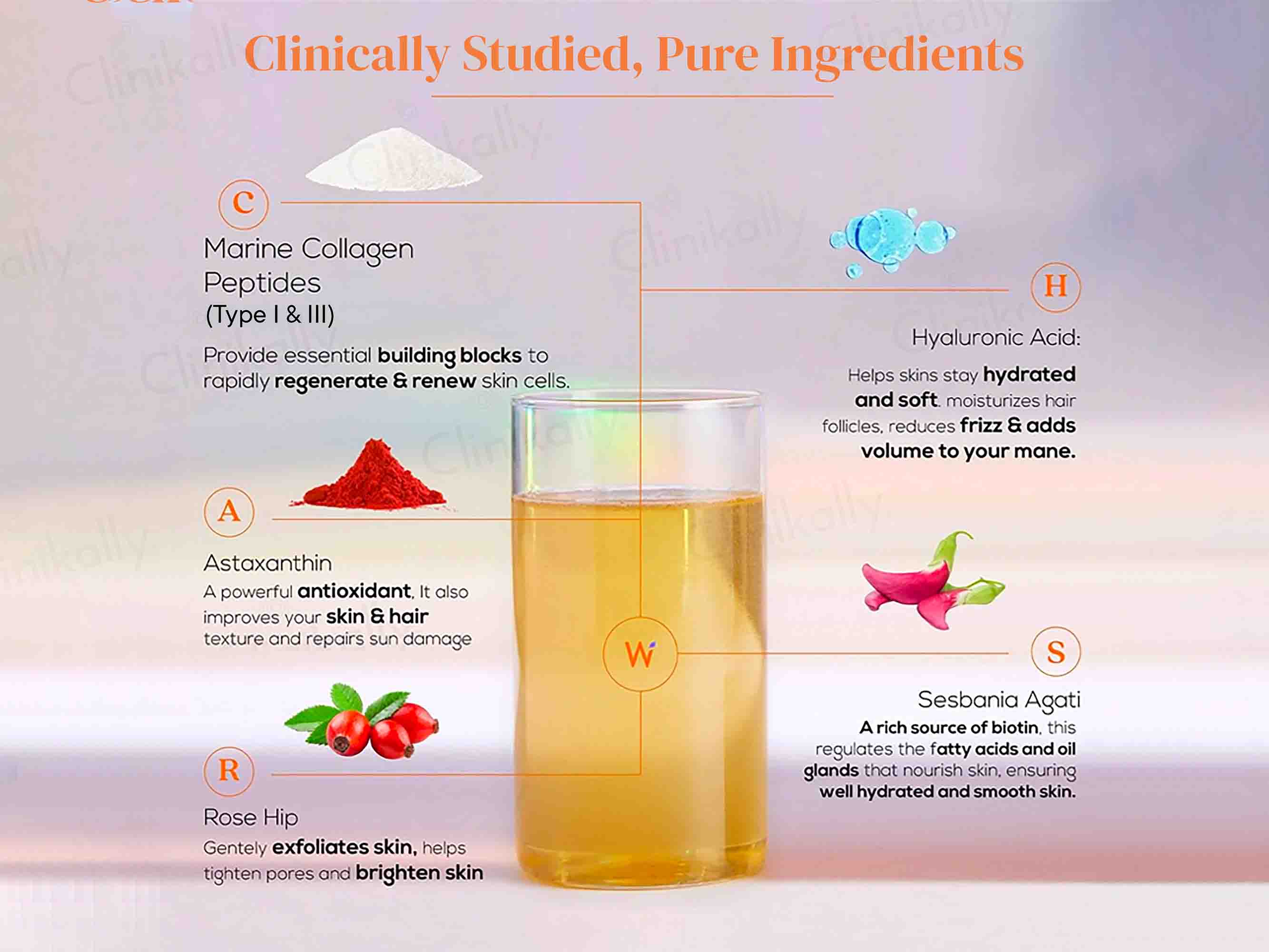 Wellbeing Nutrition Beauty Korean Marine Collagen Powder - Mango Peach Flavour - Image 4