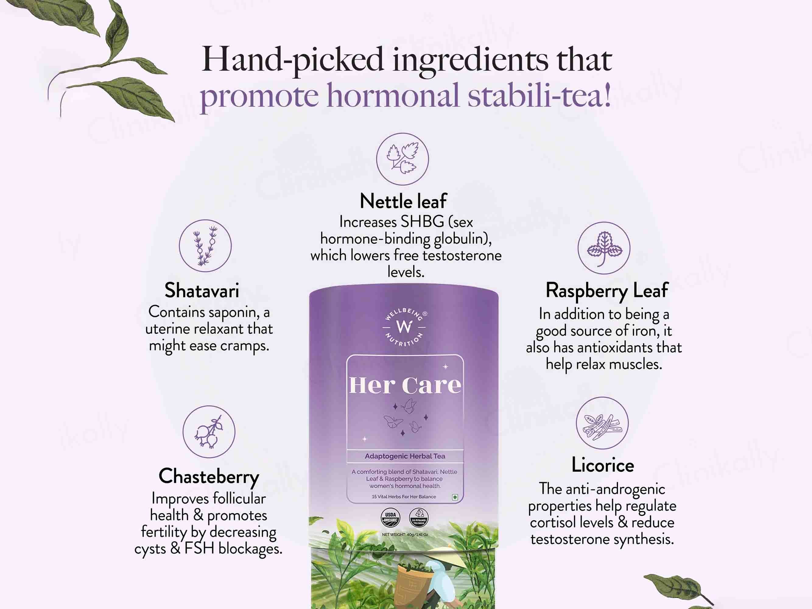 Wellbeing Nutrition Her Care Adaptogenic Herbal Tea - Image 4