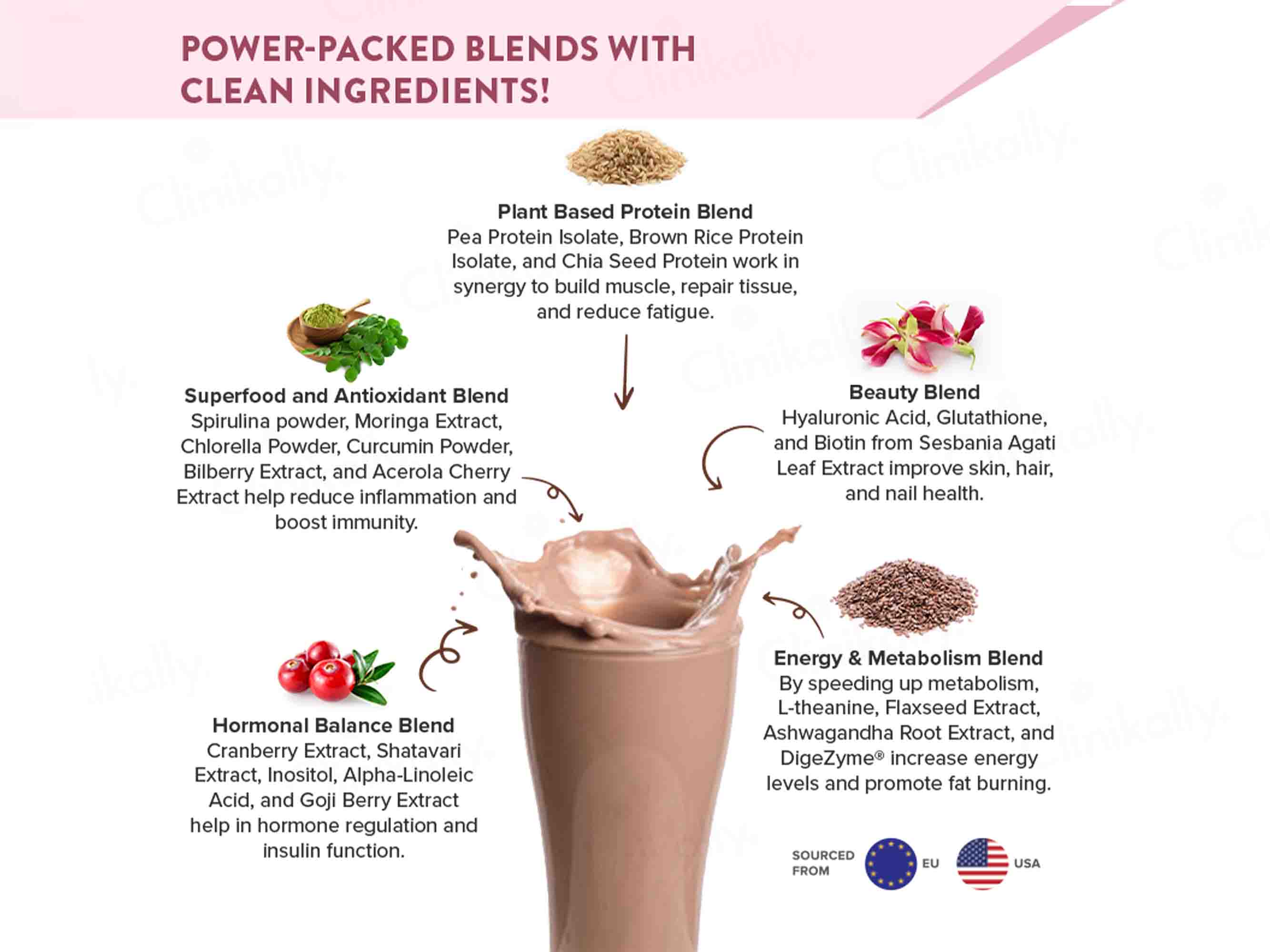 Wellbeing Nutrition Her Superfood Plant Protein Powder For Women - Chocolate Peanut Butter Flavour - Image 3