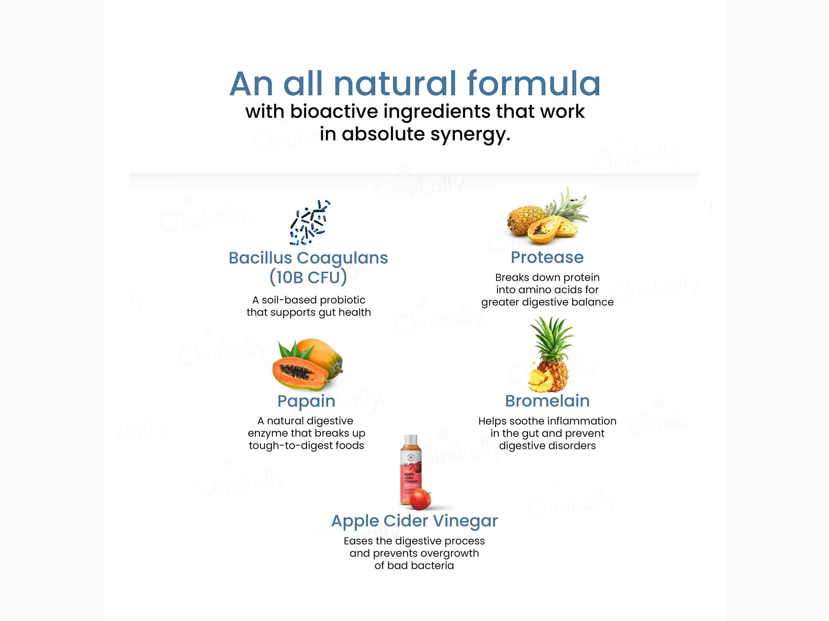 Wellbeing Nutrition Melts Into Healthy Gut Oral Strip - Mixed Berry Blast Flavour - Image 3