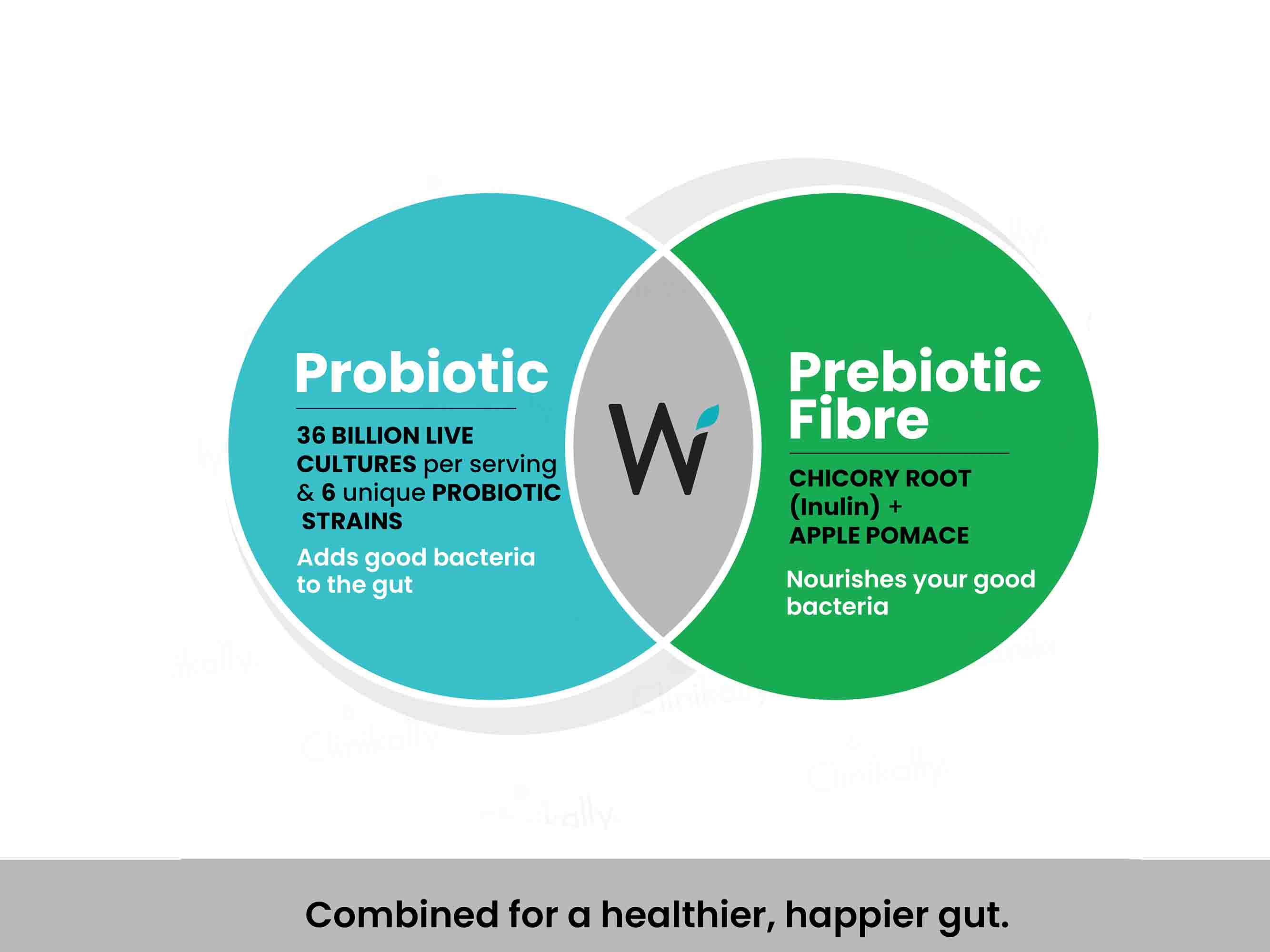 Wellbeing Nutrition Probiotic + Prebiotic Tablet - Green Apple & Peppermint Flavour - Image 6