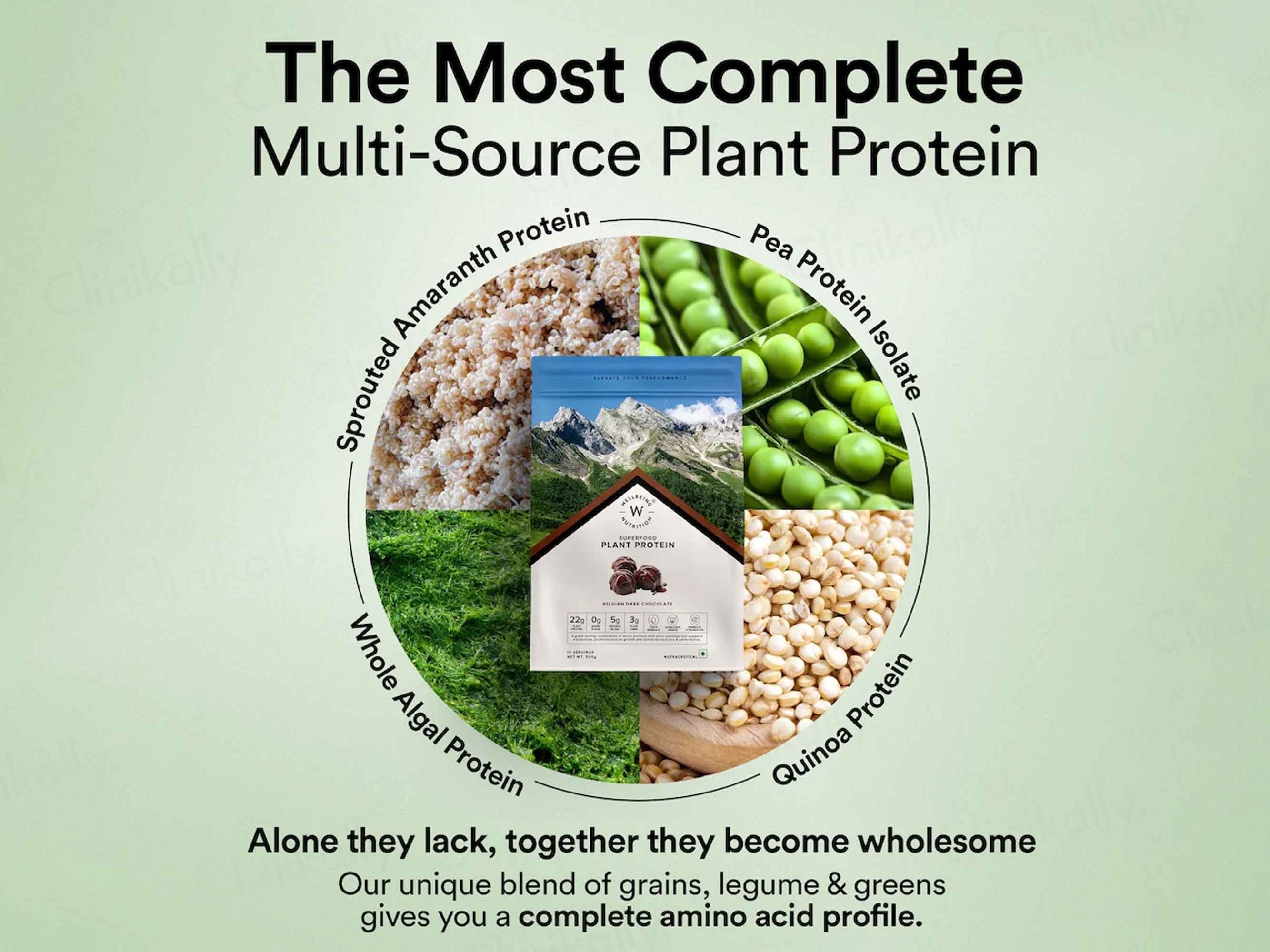 Wellbeing Nutrition Superfood Plant Protein Powder - Image 12