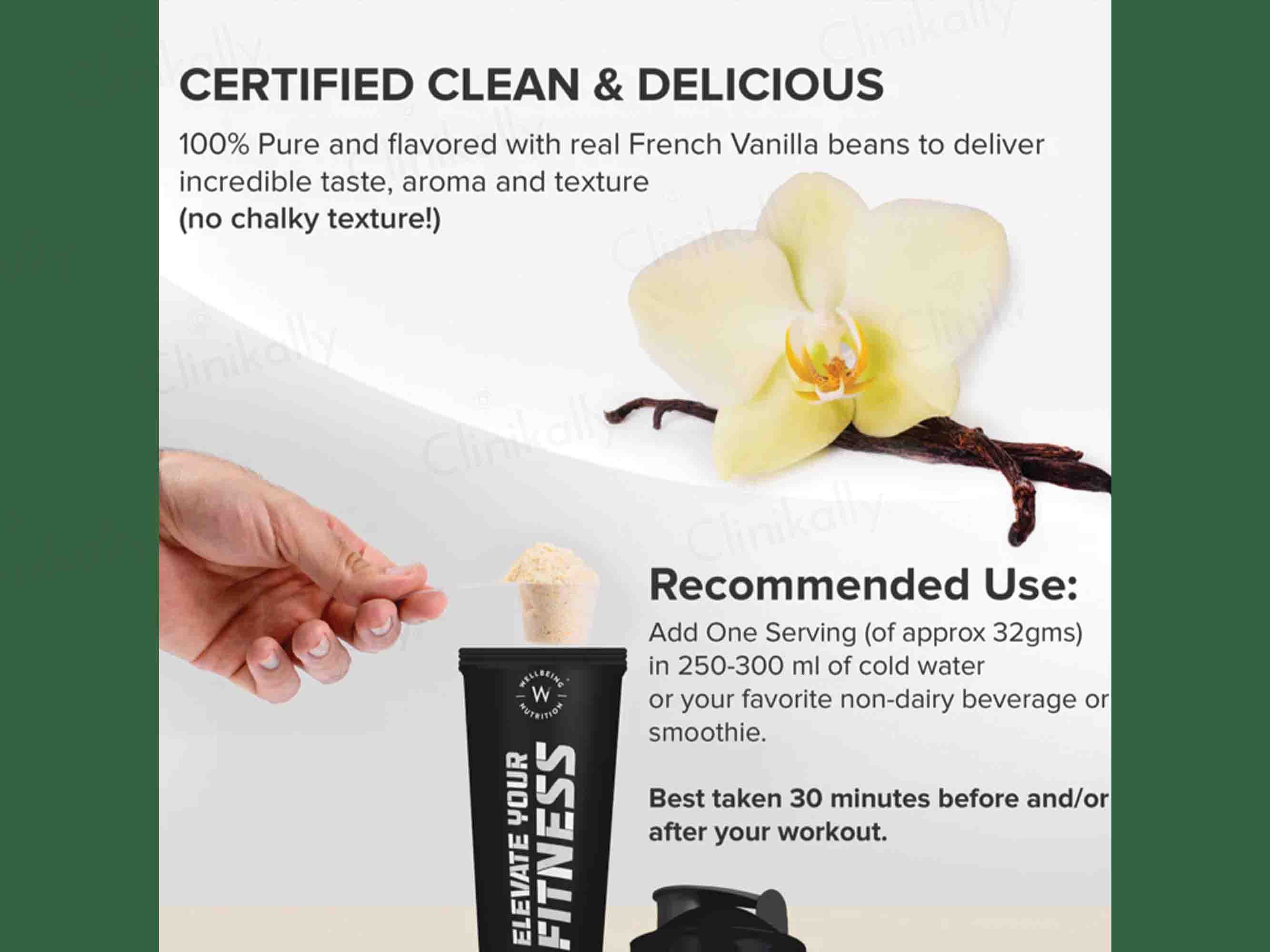 Wellbeing Nutrition Superfood Plant Protein Powder - Image 6