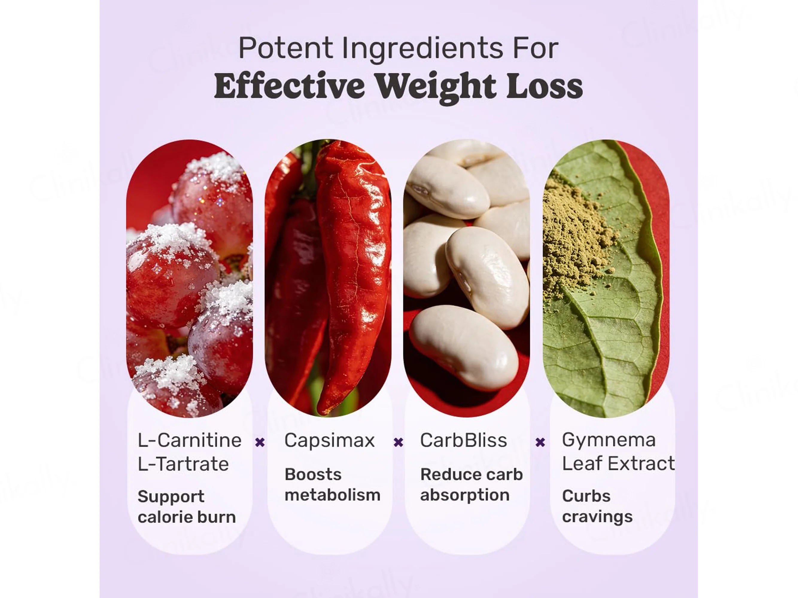 What's Up Wellness Daily Burner Nutraceutical Capsule - Image 3