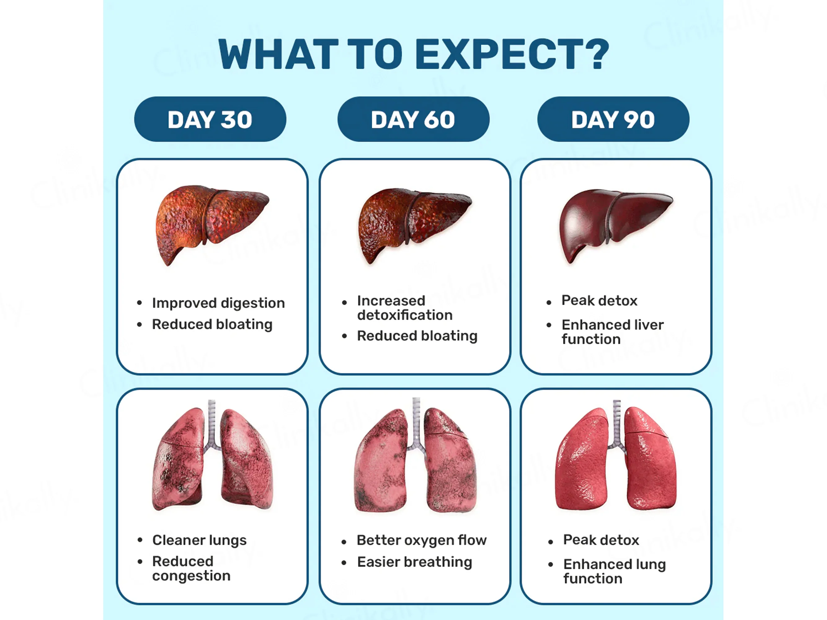 What's Up Wellness Lung & Liver Detox Nutraceutical Capsule - Image 3