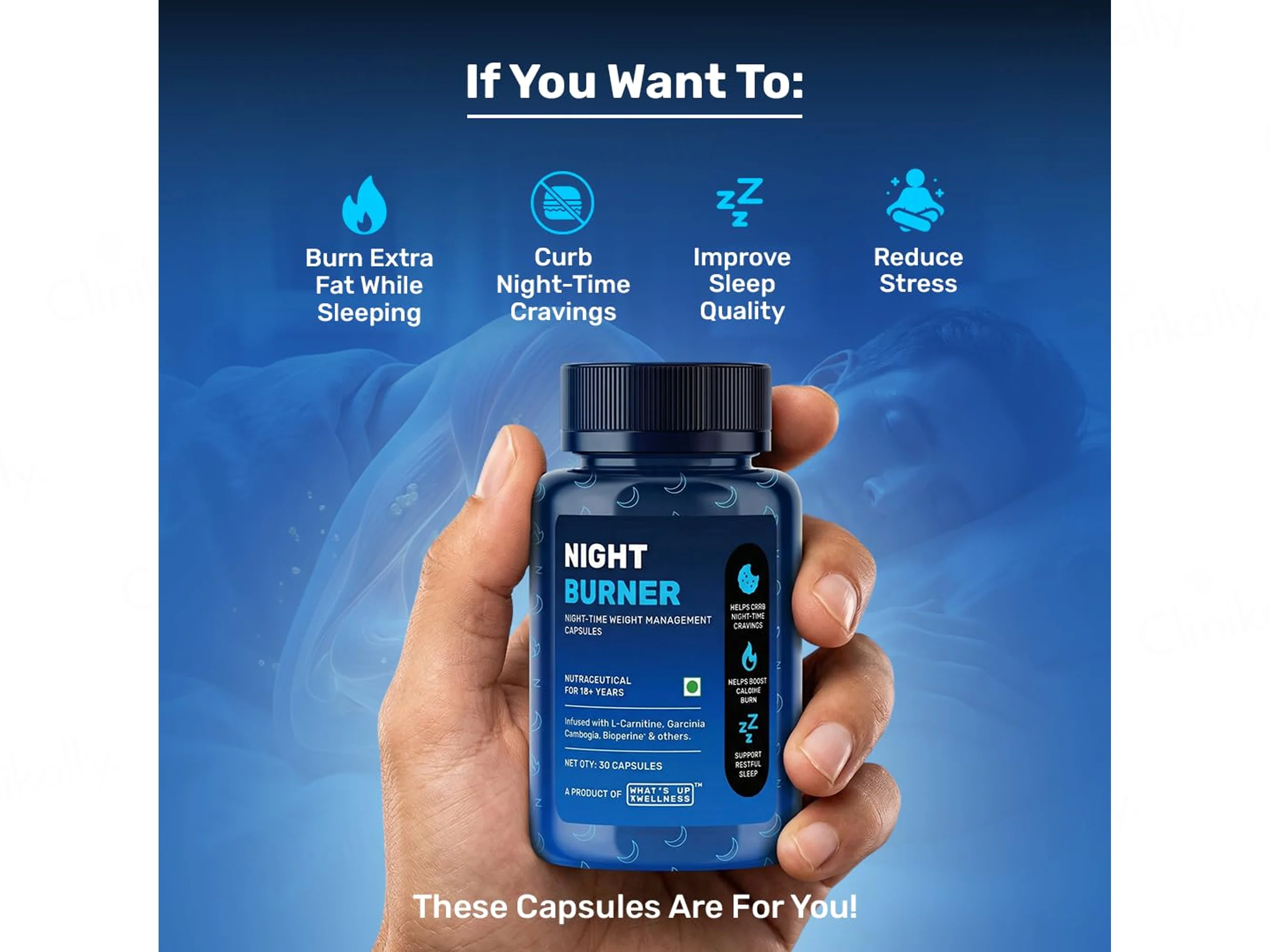 What's Up Wellness Night Burner Nutraceutical Capsule - Image 2