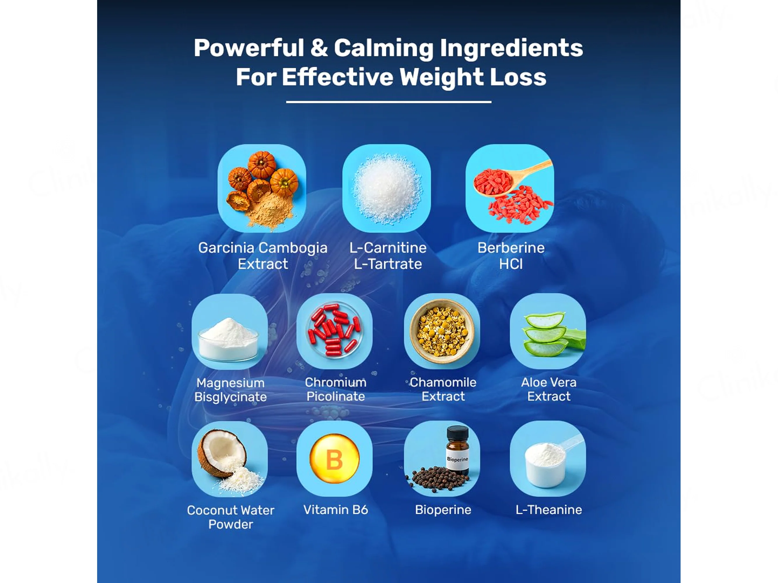What's Up Wellness Night Burner Nutraceutical Capsule - Image 3