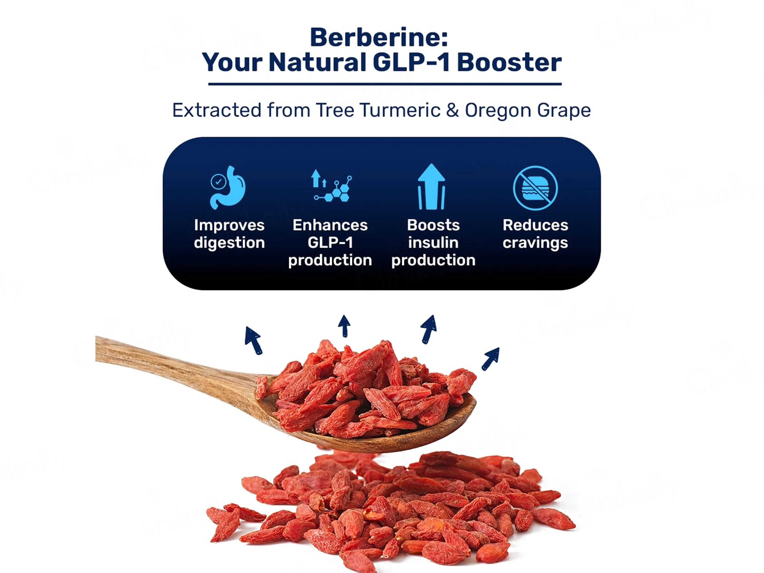 What's Up Wellness Night Burner Nutraceutical Capsule - Image 6