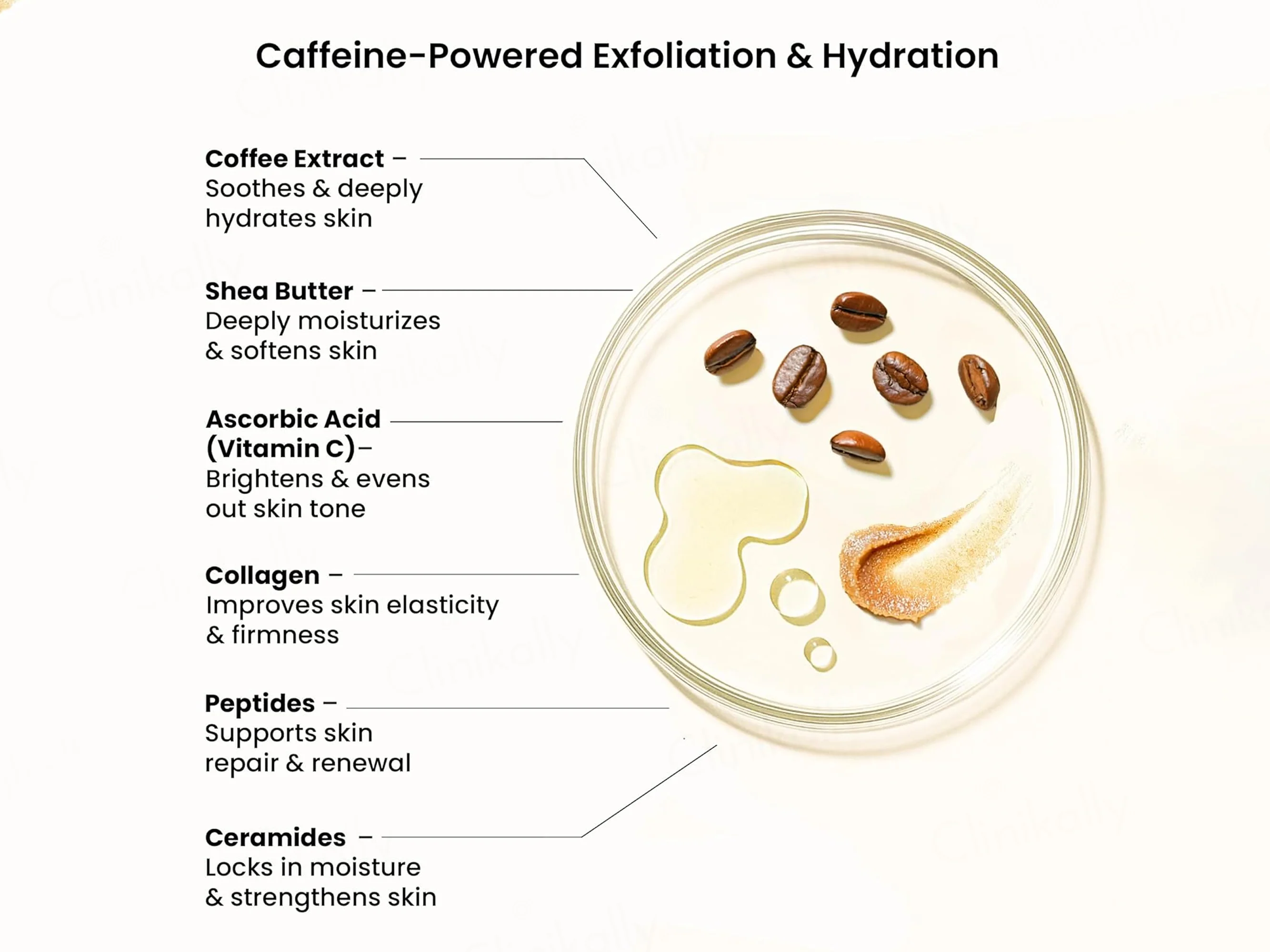 Wild Oak Iced Coffee Shea Butter Sugar Body Scrub - Image 3