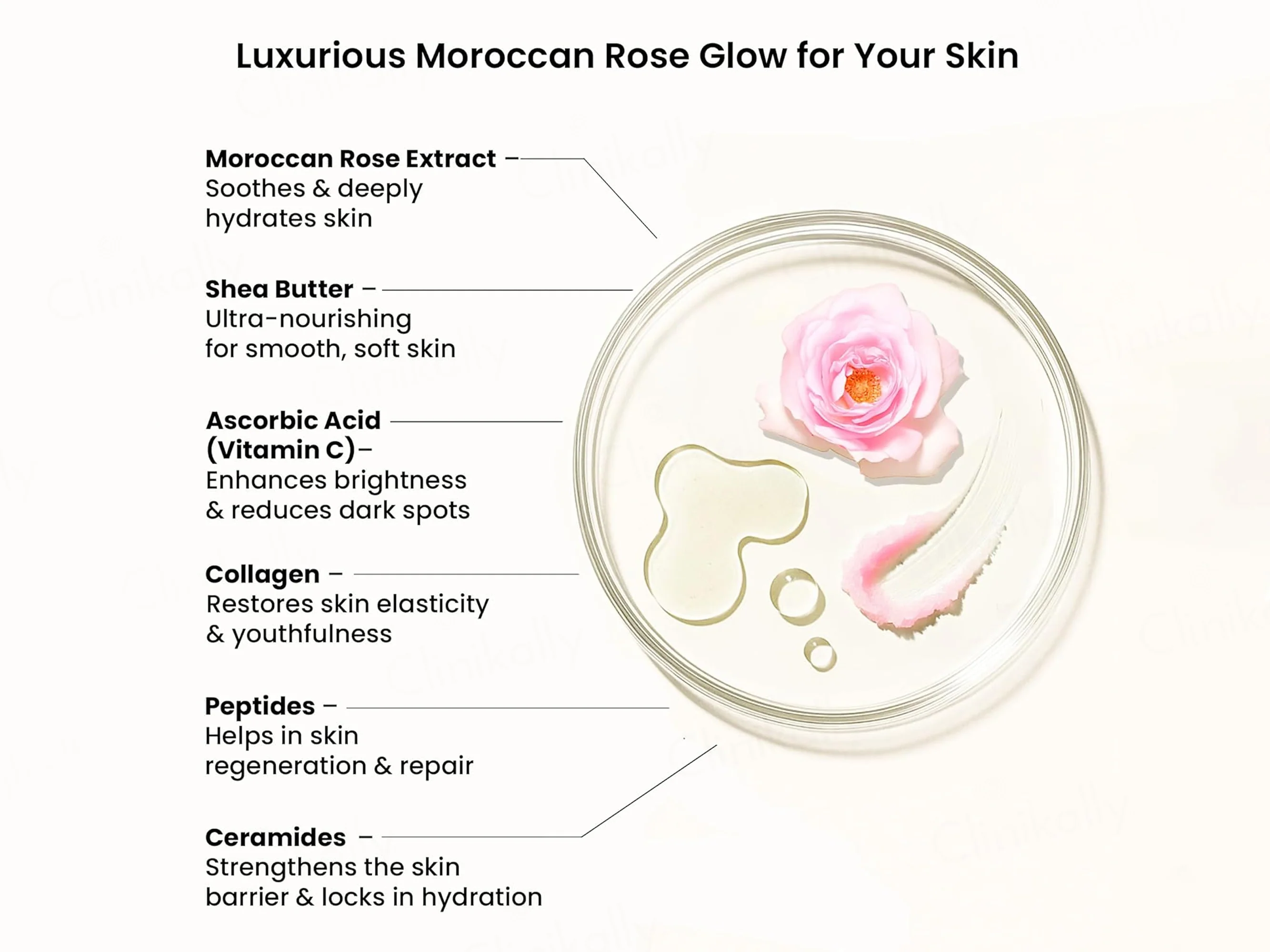 Wild Oak Moroccan Rose Shea Butter Sugar Body Scrub - Image 3