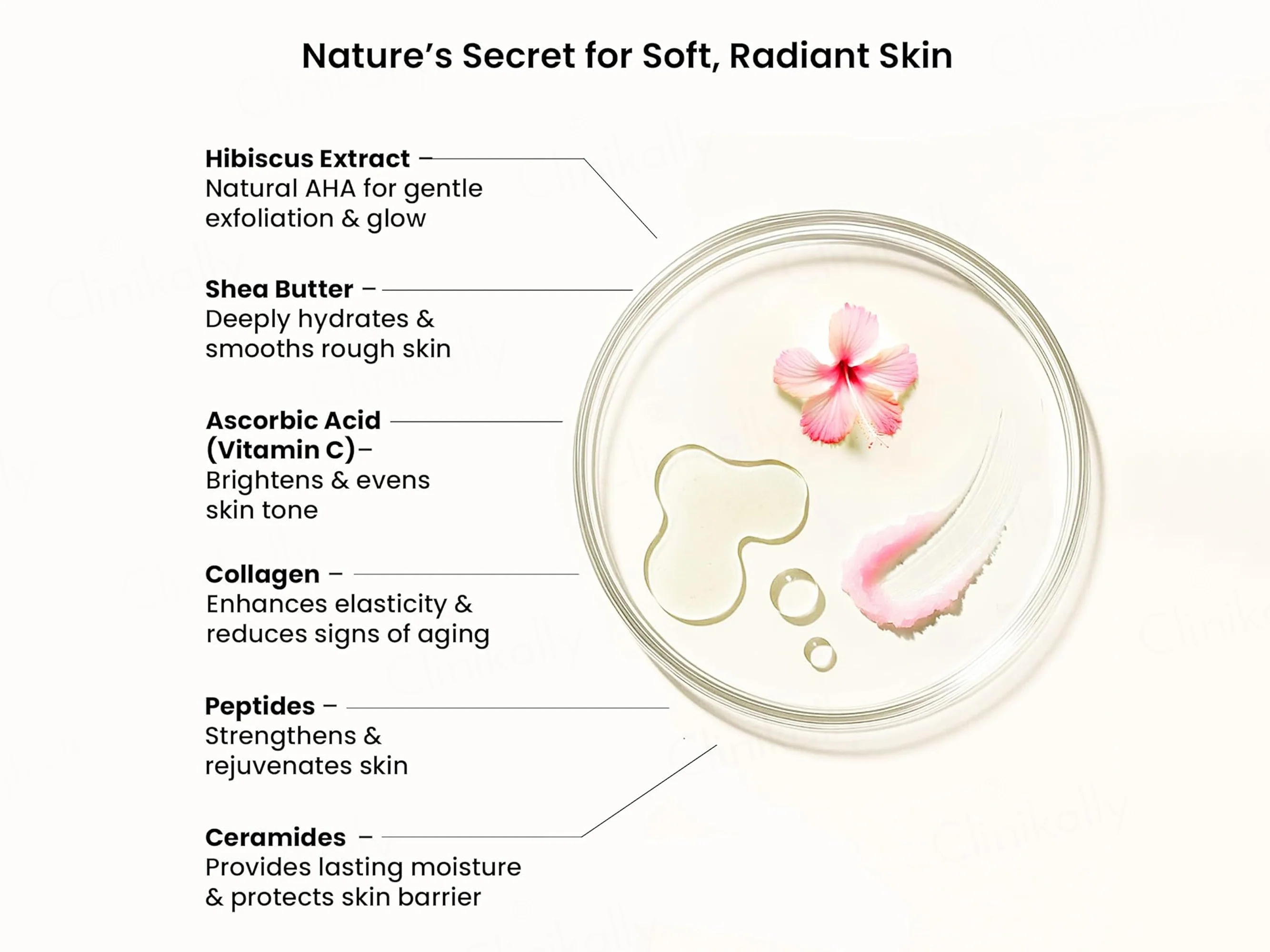 Wild Oak Pink Hibiscus Shea Butter Sugar Body Scrub - Image 3