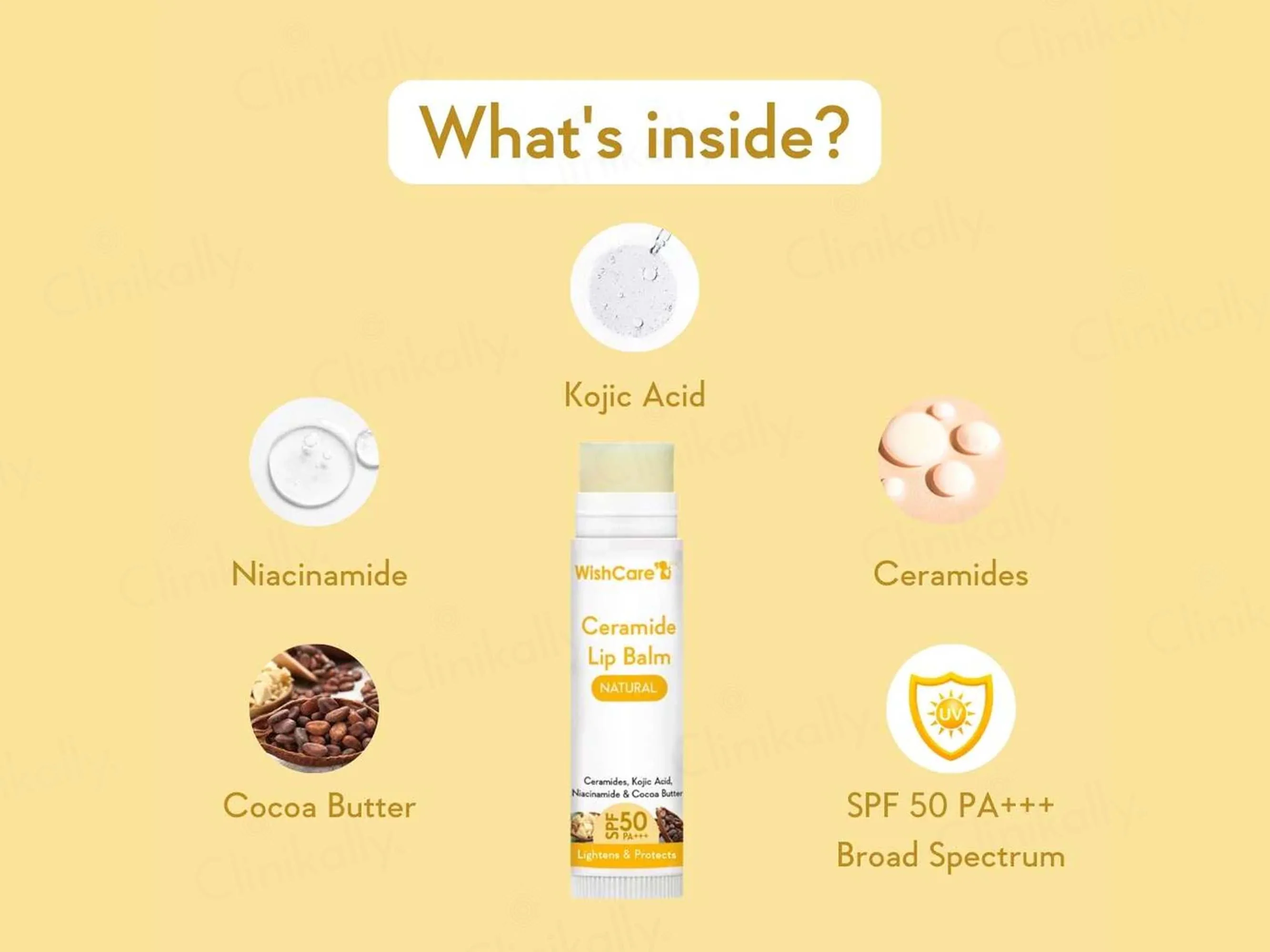 WishCare Ceramide Lip Balm - Natural SPF 50 PA+++ - Image 2