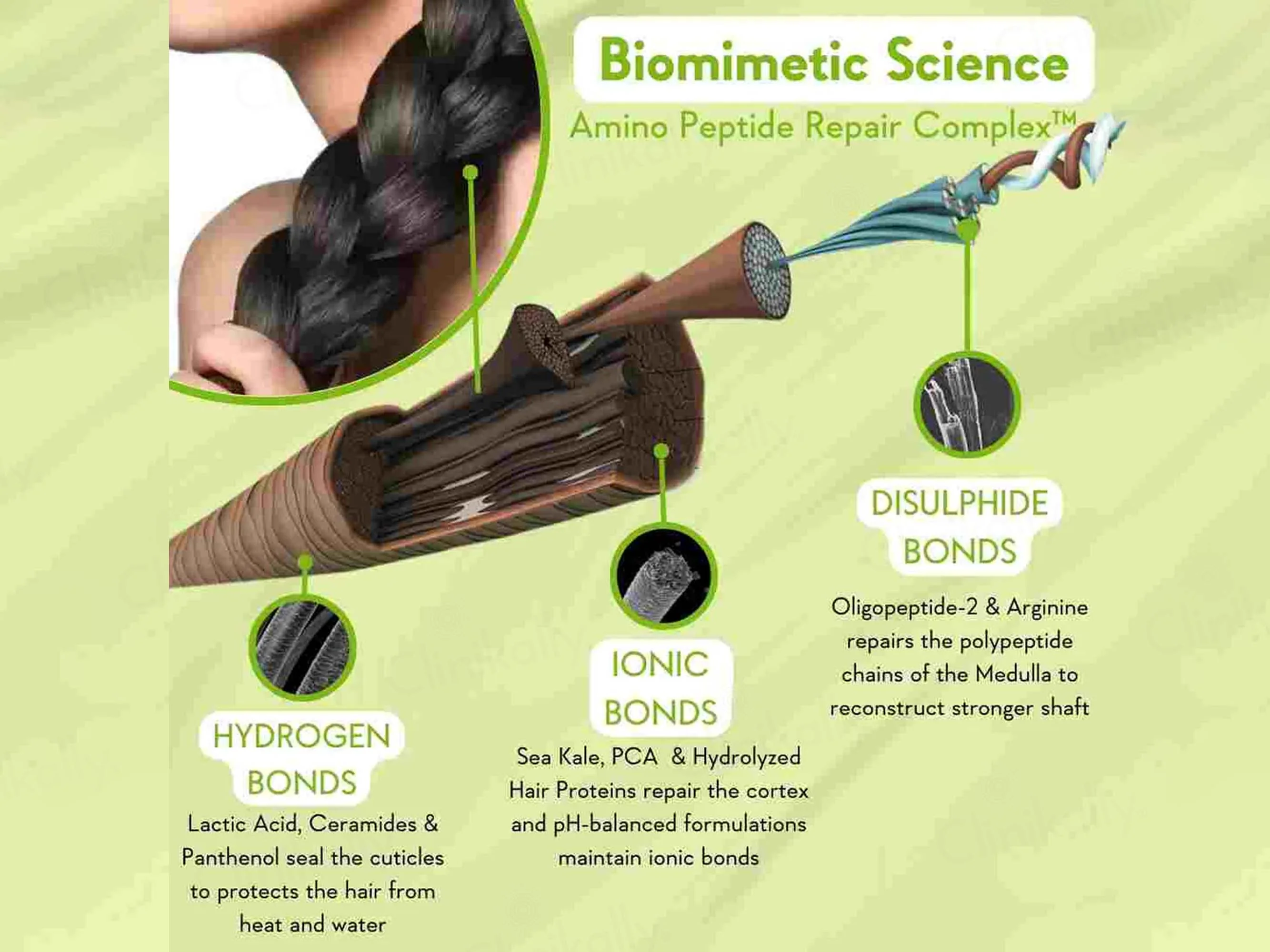 WishCare Triple Bond Repair Booster Hair Serum - Image 3